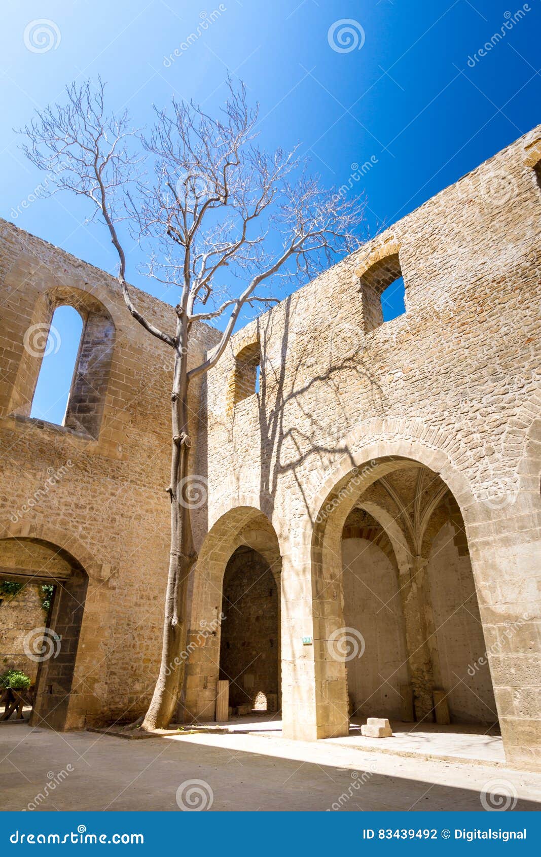 santa maria dello spasimo roofless church in palermo, italy