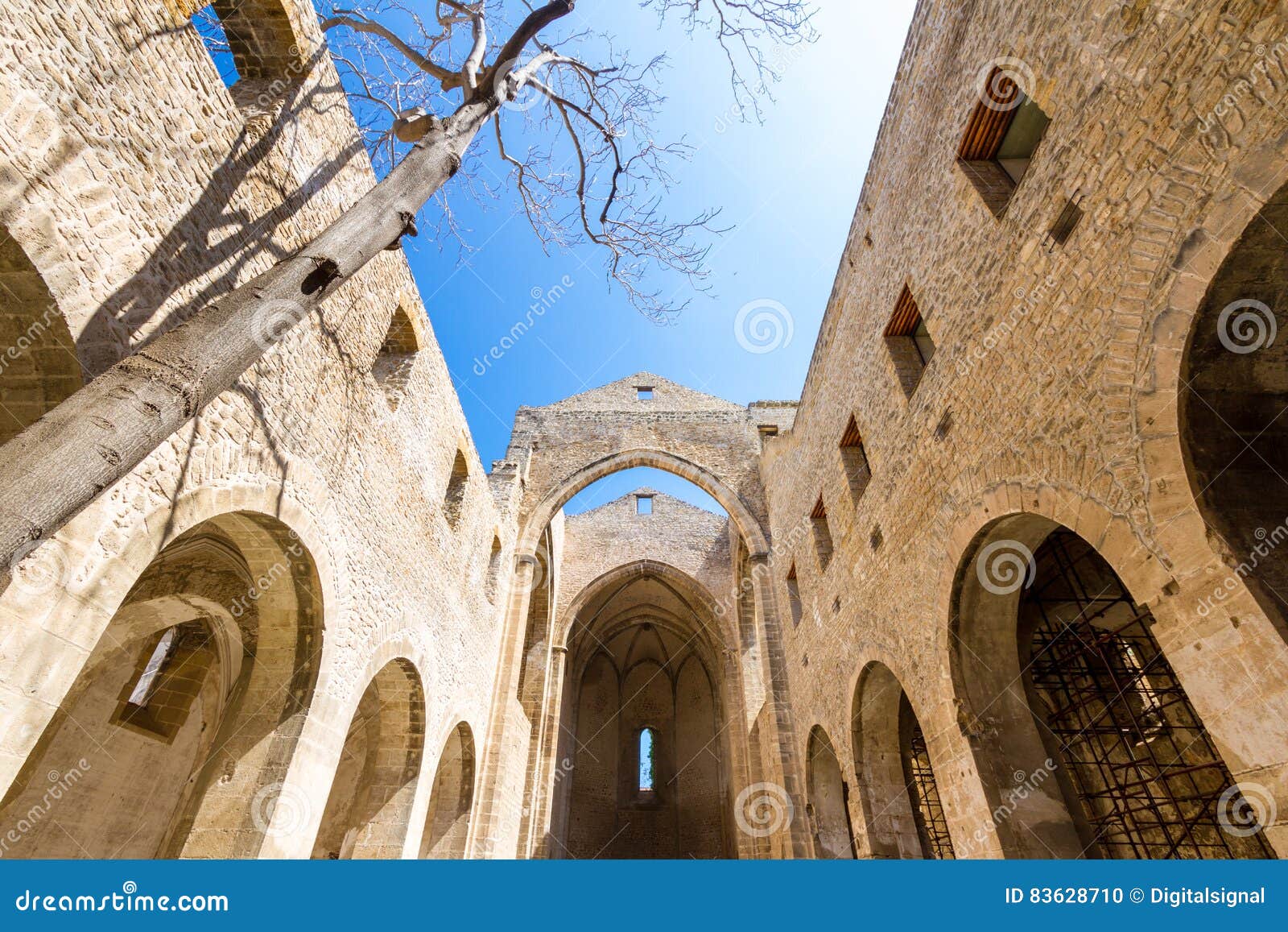 santa maria dello spasimo roofless church in palermo, italy