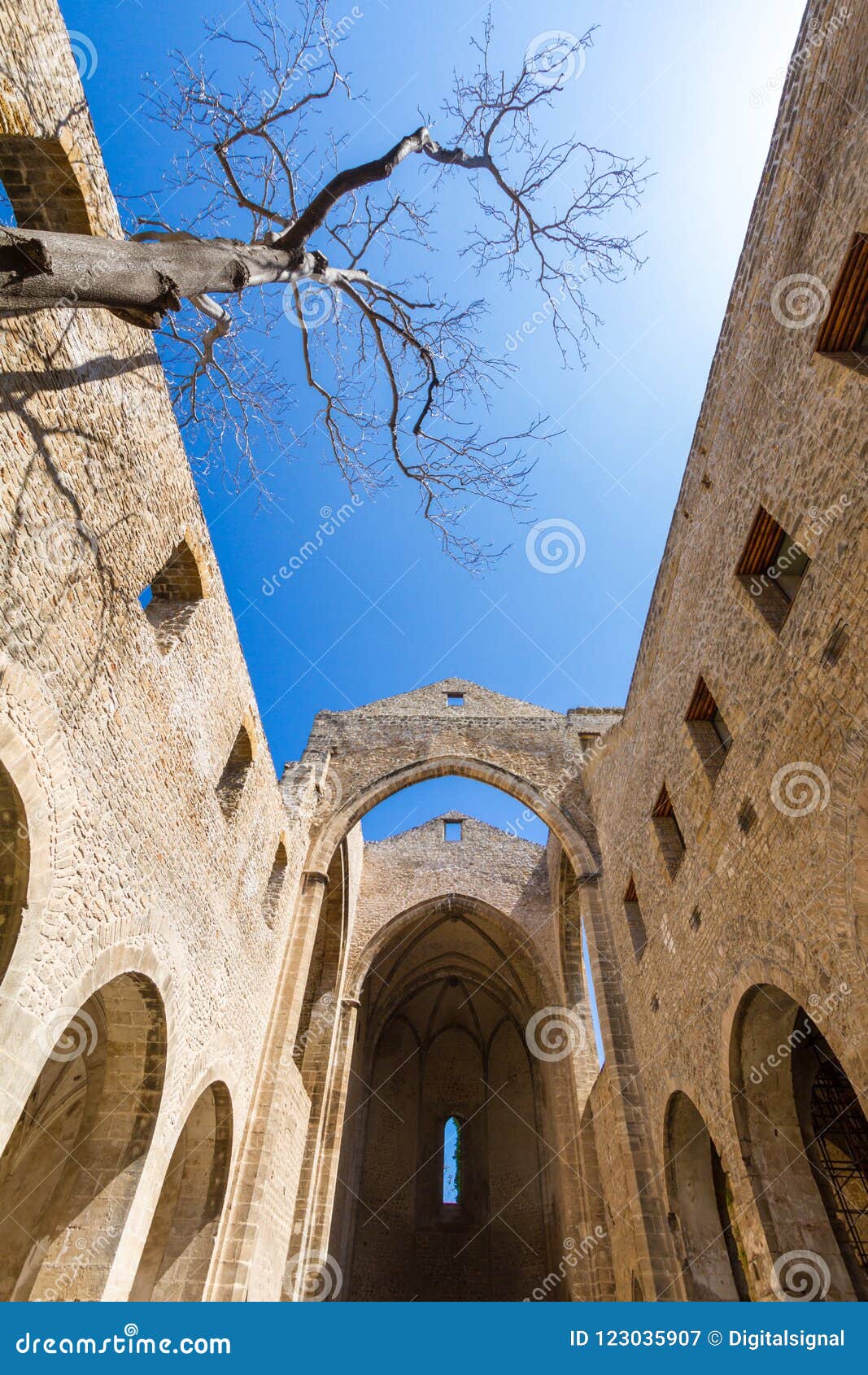 santa maria dello spasimo roofless church in palermo, italy