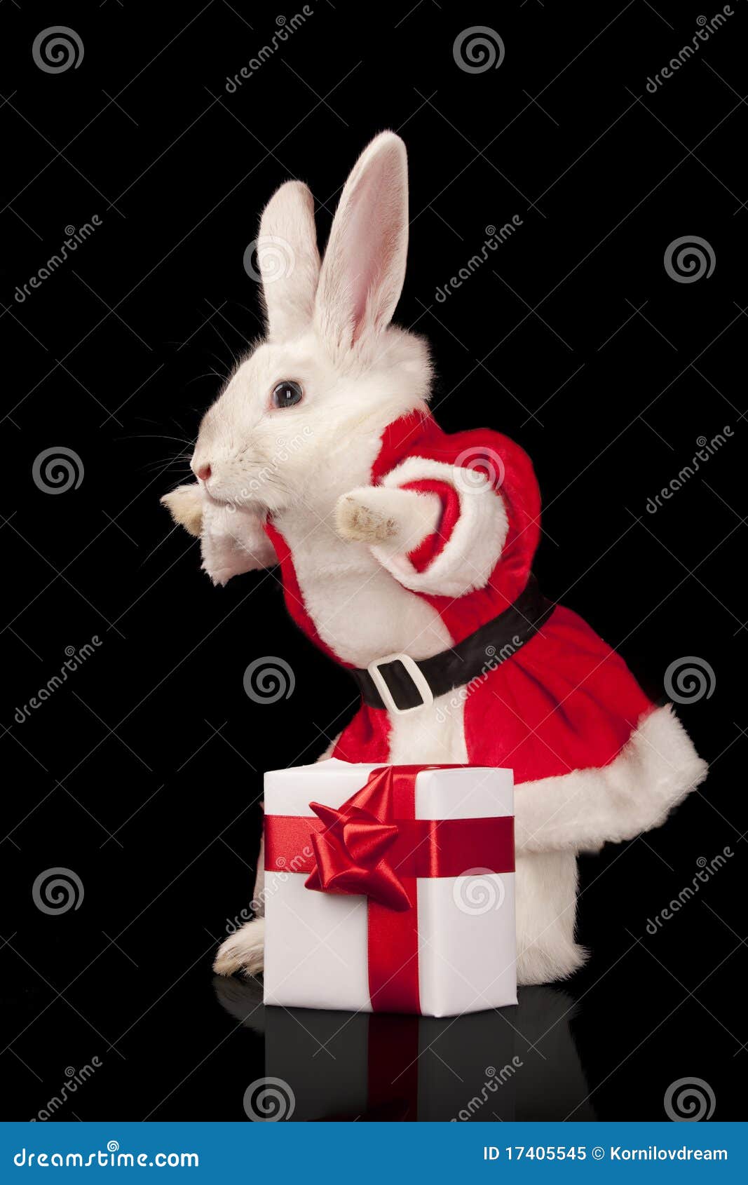 Santa rabbit with a gift stock image. Image of fuzzy 17405545