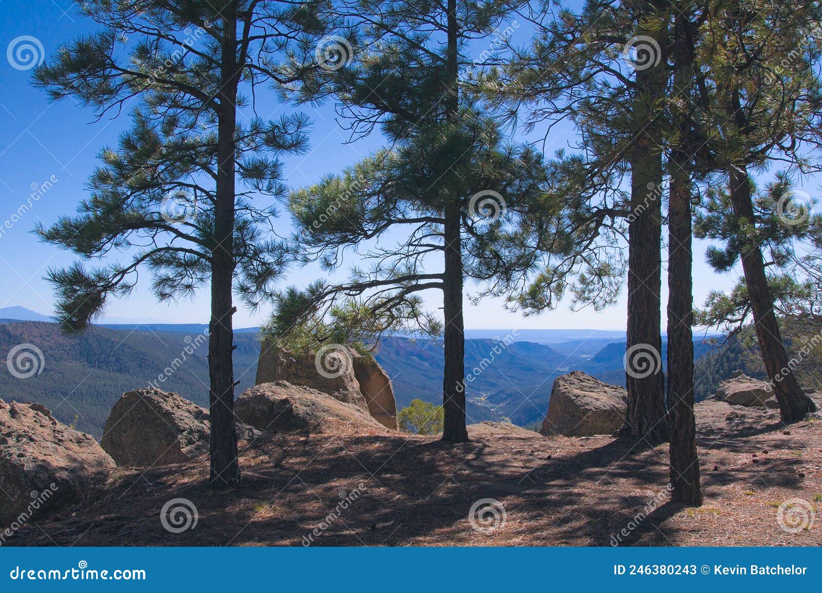 santafe national forest overlook
