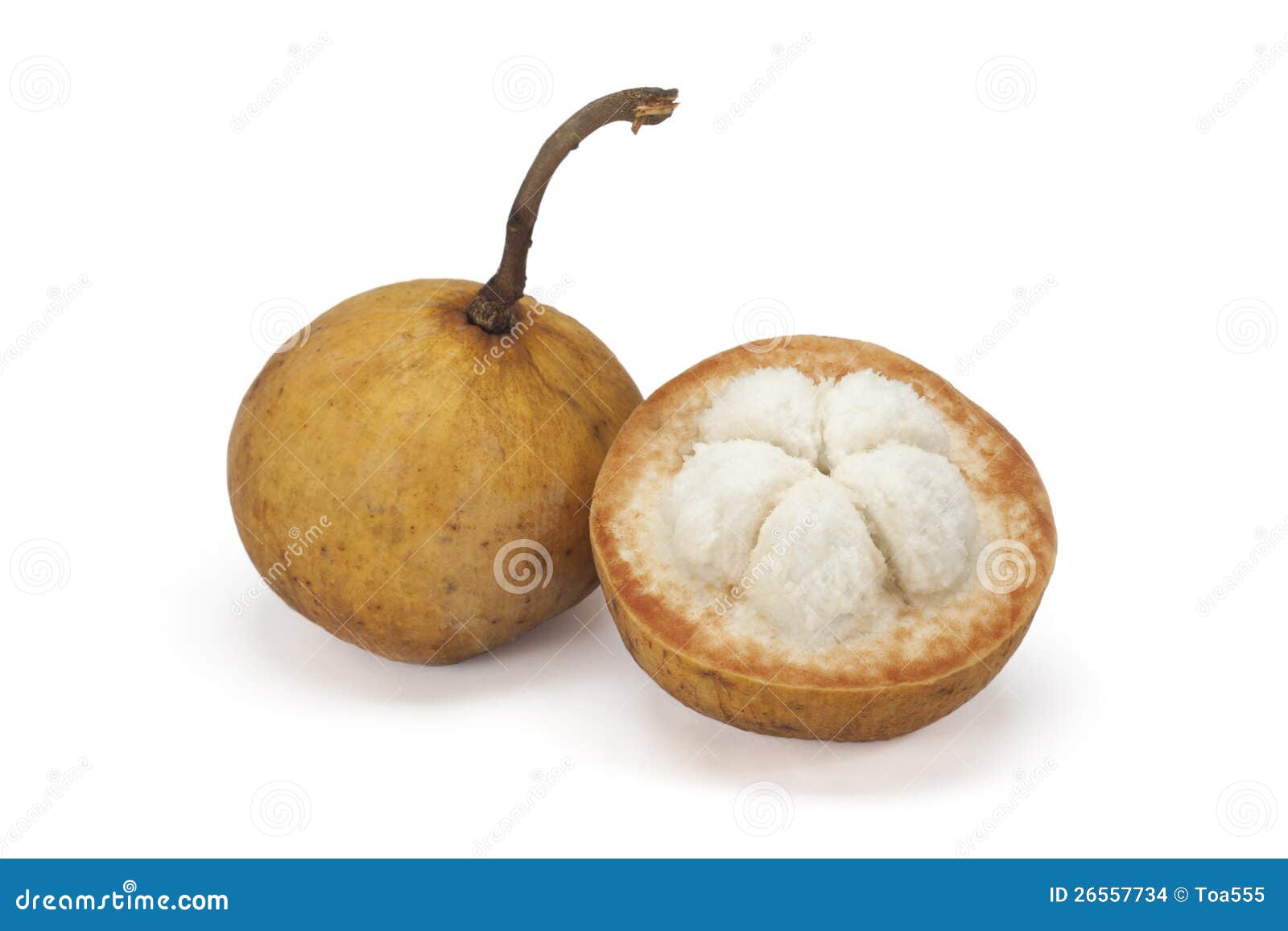 Santol fruit stock photo. Image of asia, limb, nature 26557734