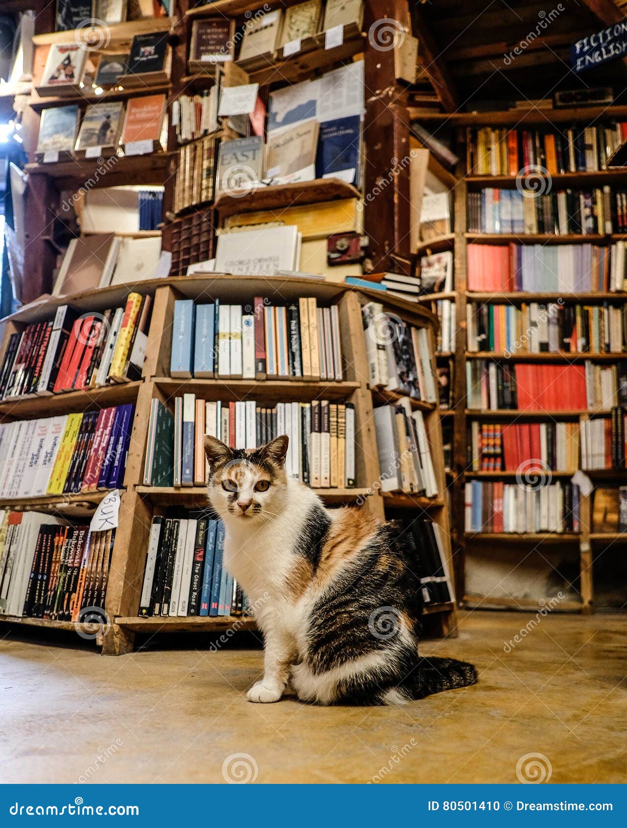 santorini-stock-photo-image-of-summer-landscape-island-80501410