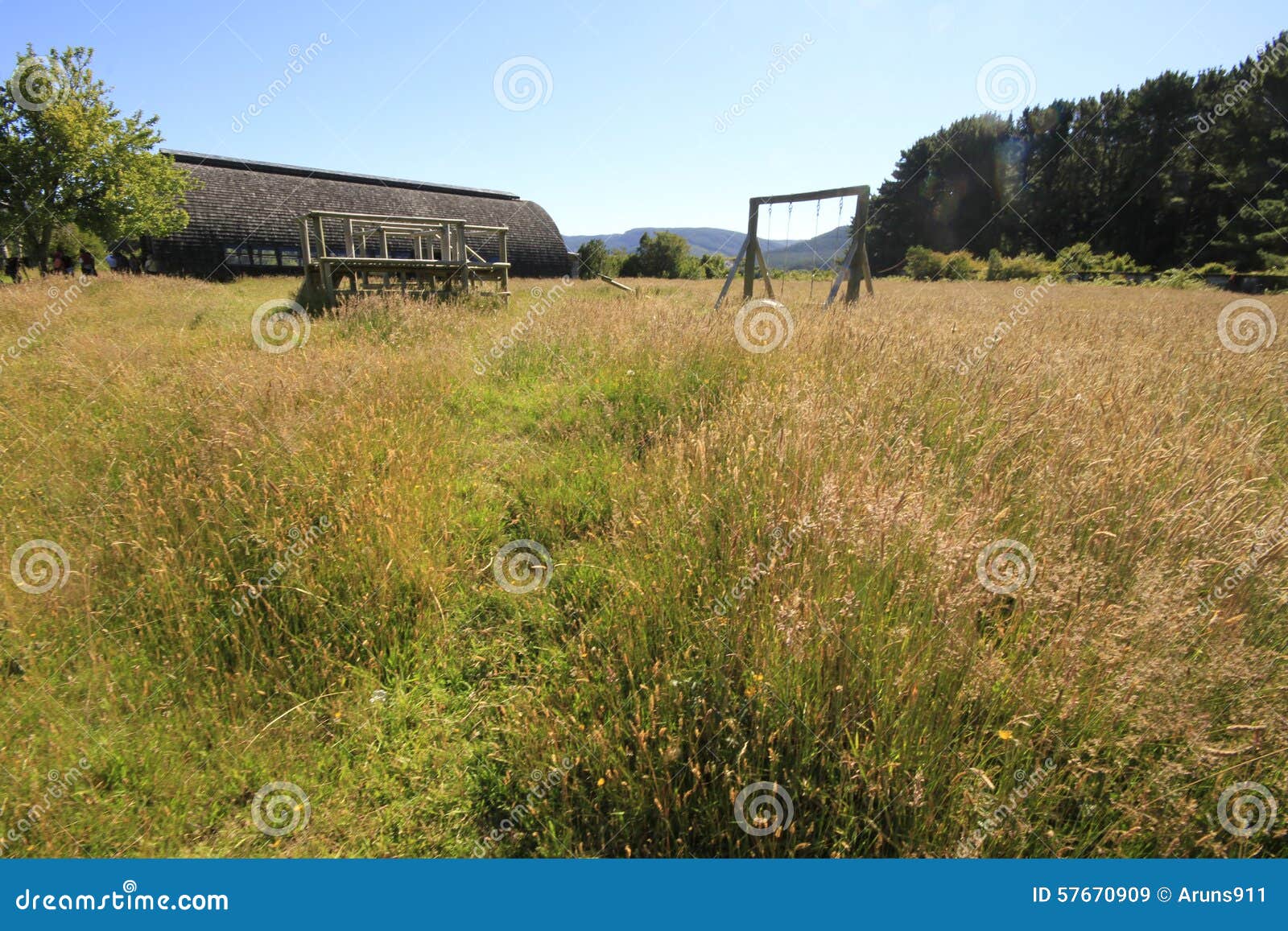 santuario naturaleza, valdivia south america