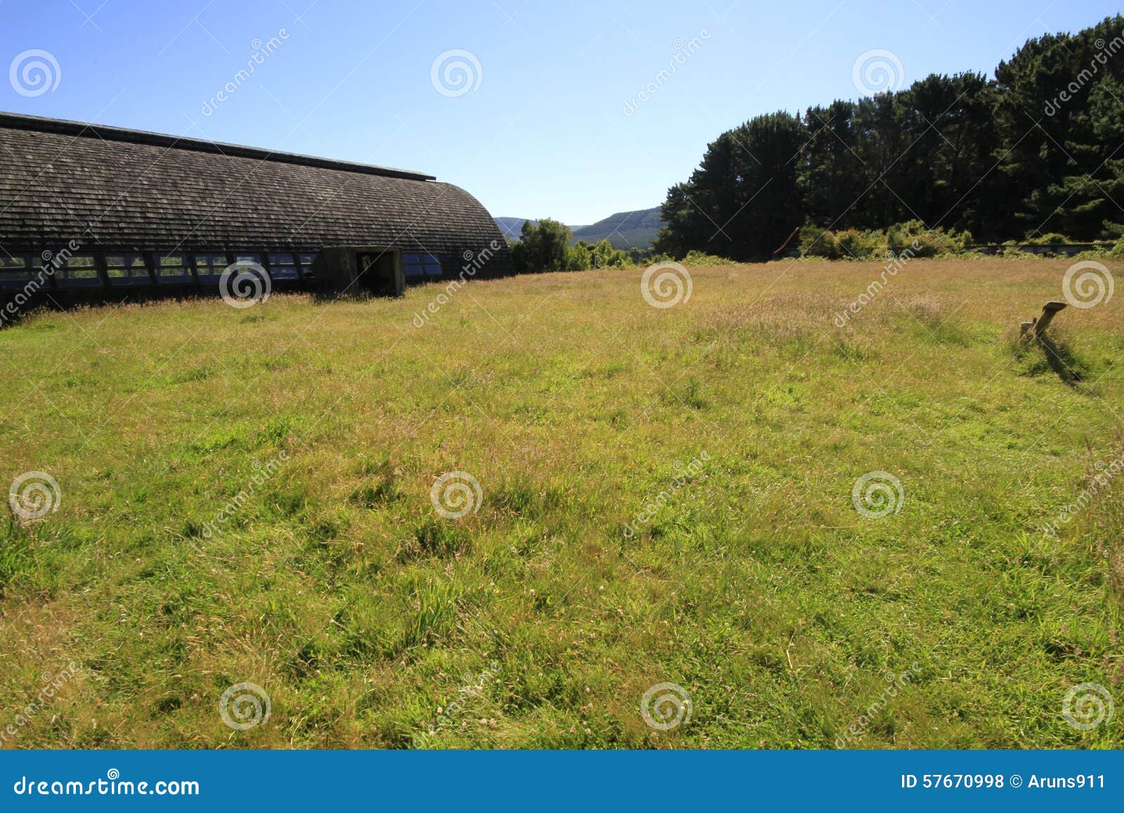 santuario naturaleza, valdivia south america