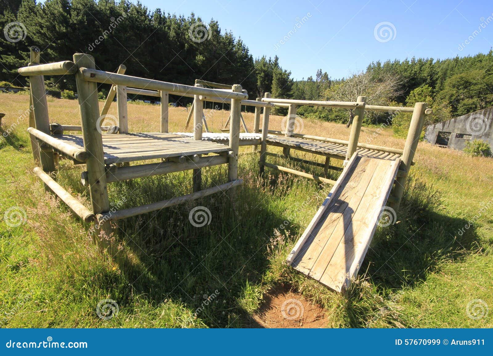 santuario naturaleza, valdivia south america