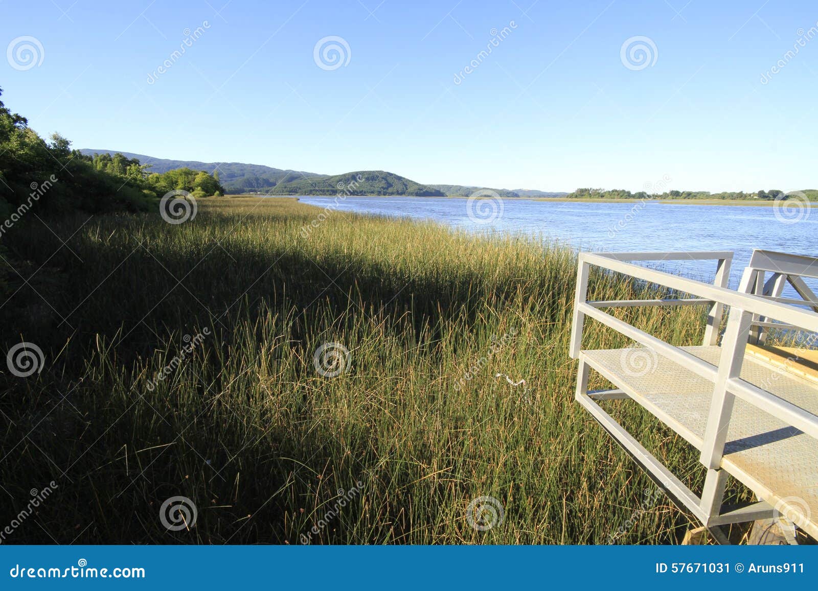 santuario naturaleza, valdivia south america