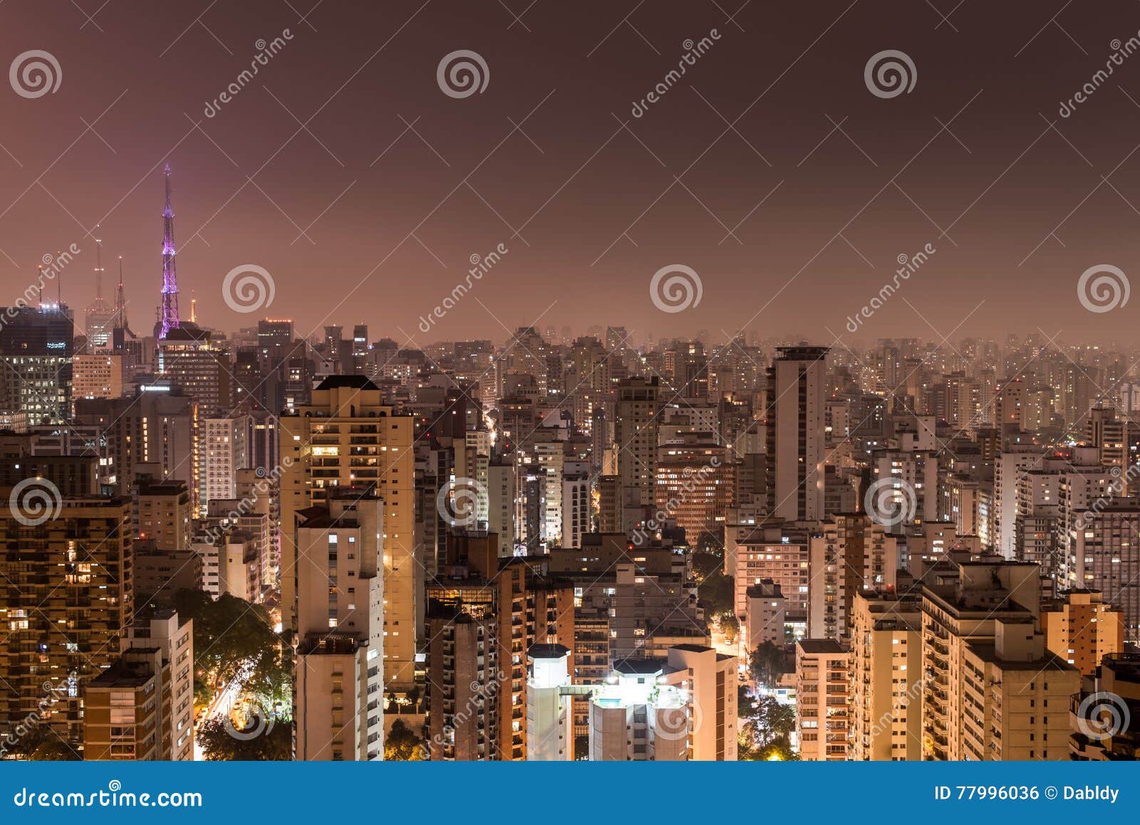 sao paulo city at night