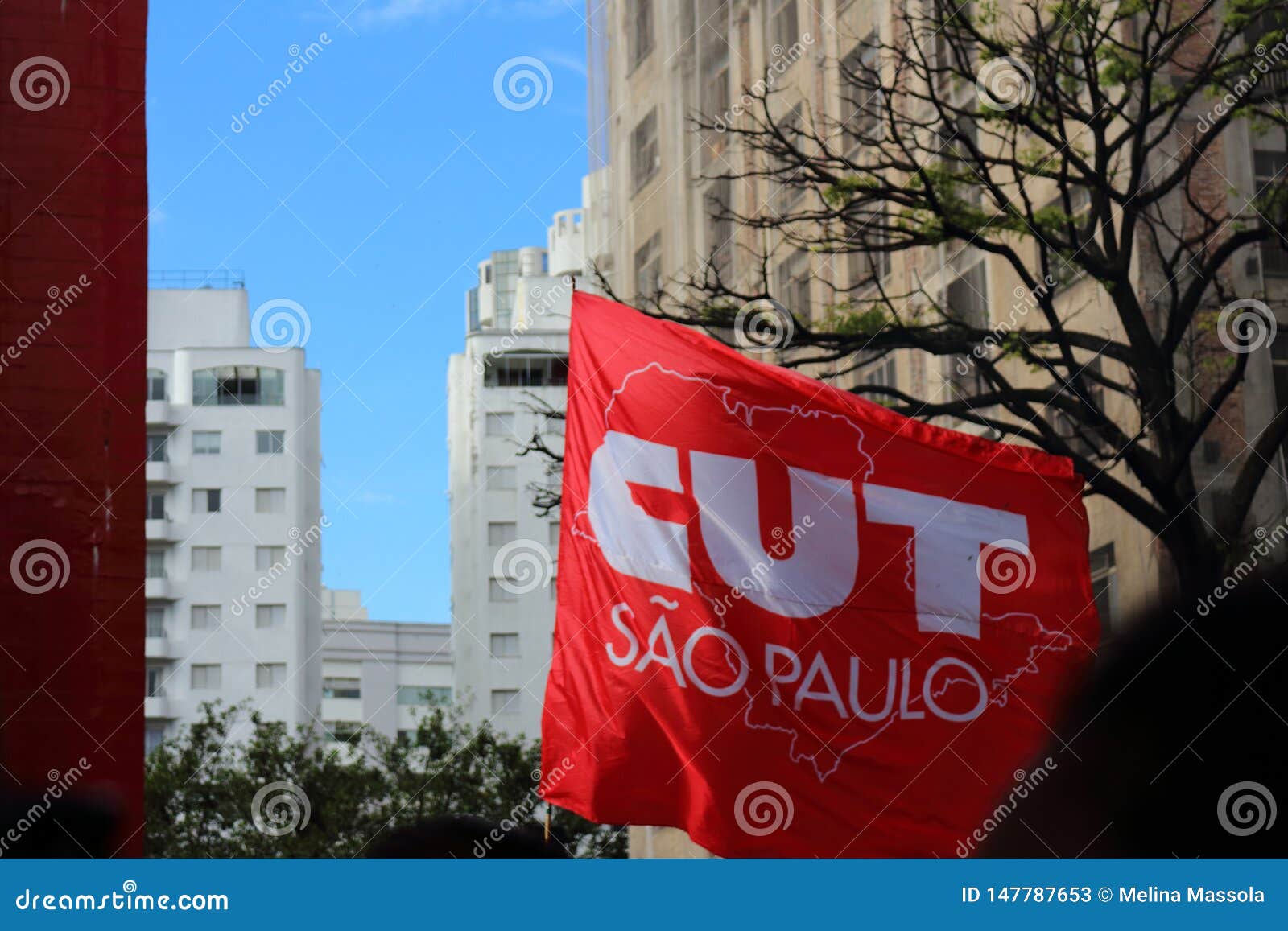 Sao Paulo/Sao Paulo/el Brasil - puede la manifestaci?n pol?tica popular 15 2019 contra la falta de presupuesto en afectar de la e. Sao Paulo/Sao Paulo/Brazil - may 15 2019: popular political manifestation against lack of budget on education affecting students and scholars. Party flag