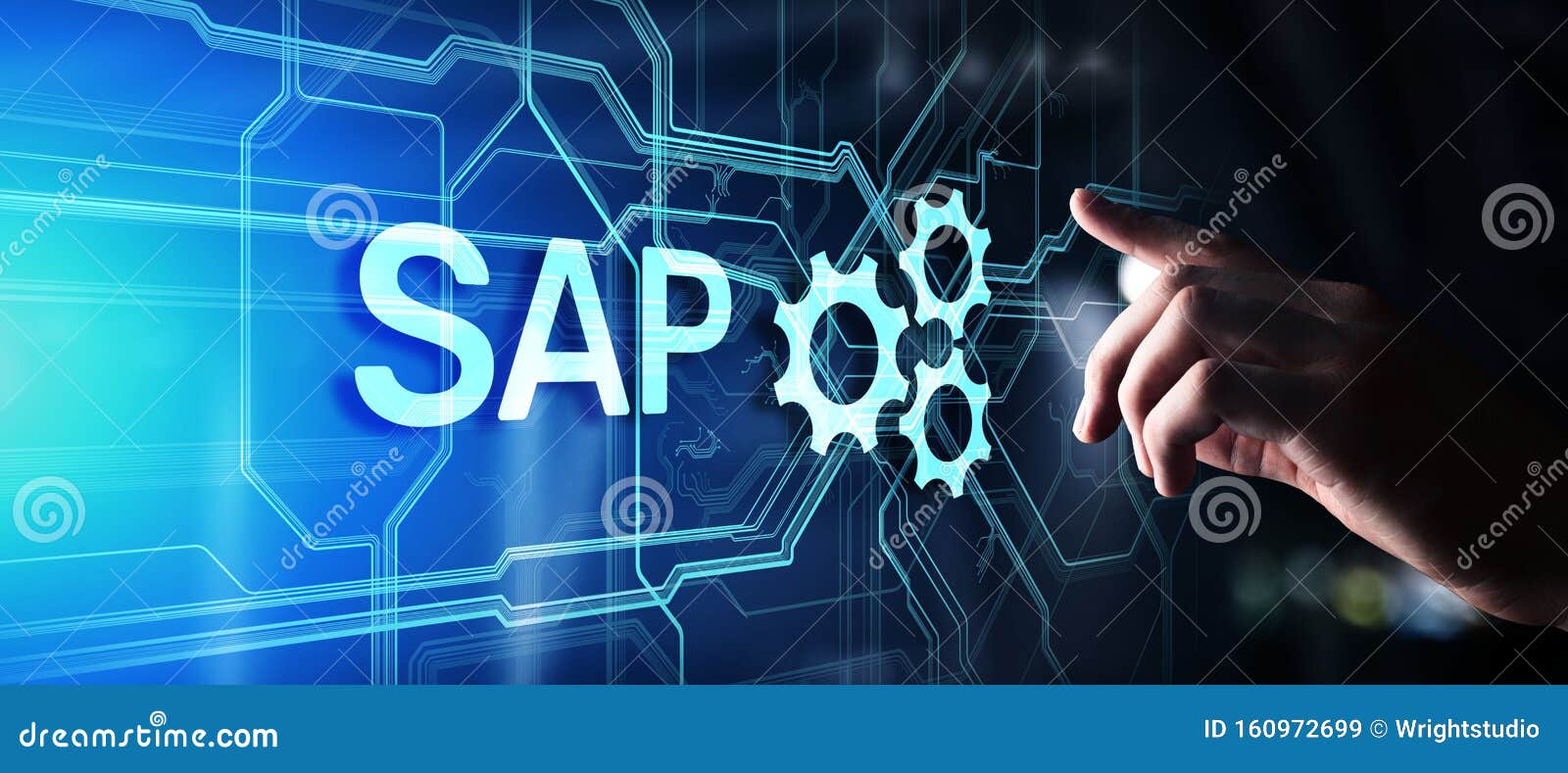 SAP Logiciel D