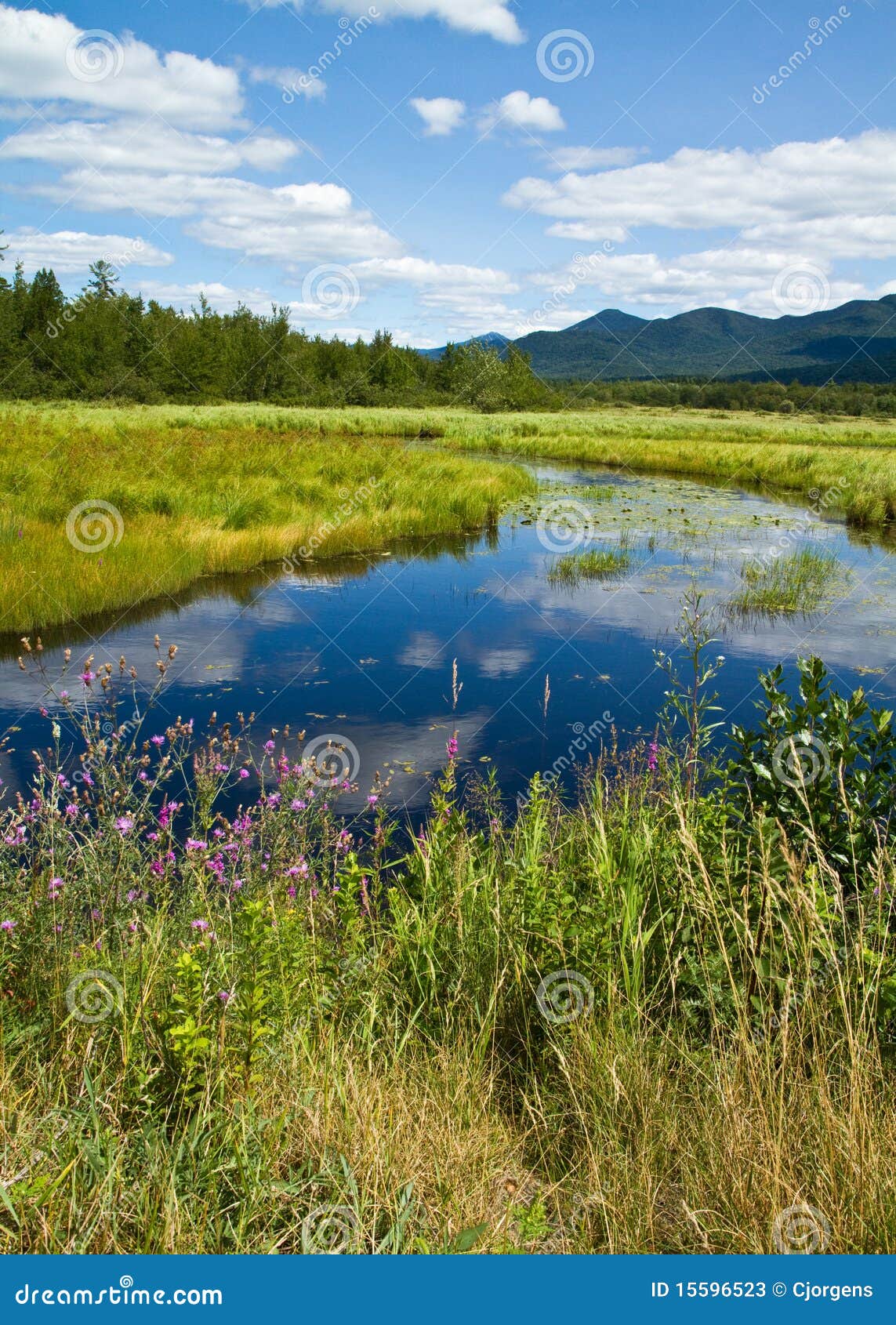 Saranac River stock image. Image of holiday, mountains 15596523