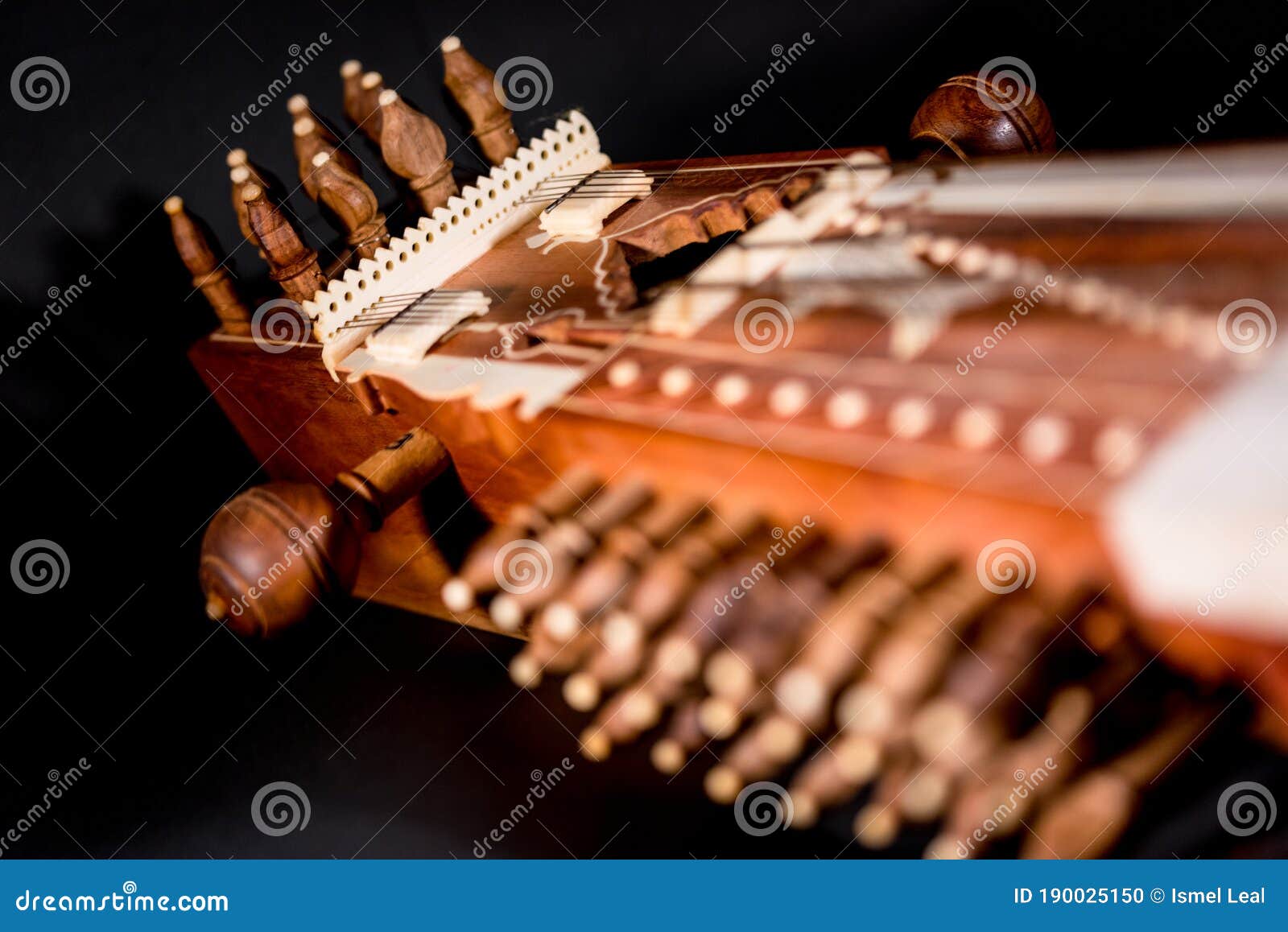 Sarangi stock photo. Image of musician, tourism, india 190025150
