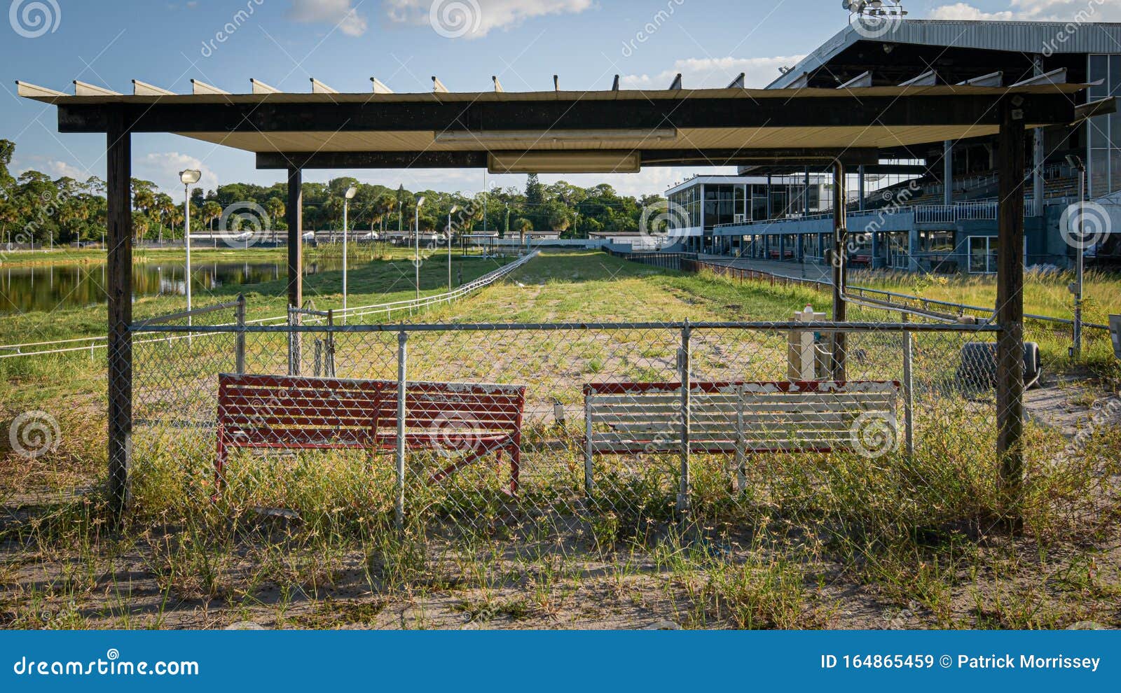 Sarasota Kennel Club Greyhound Track Editorial Stock Image - Image of  green, betting: 164865459