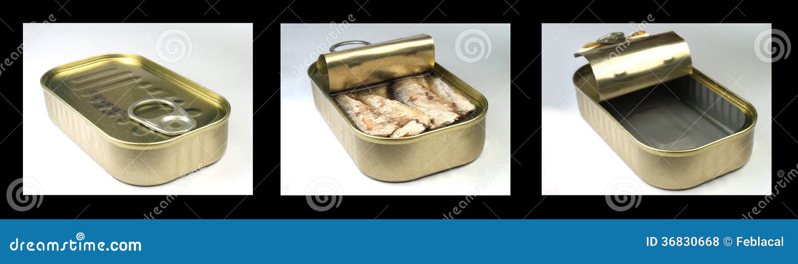 Sardine Can stock photo. Image of garbage, food, sardine 36830668