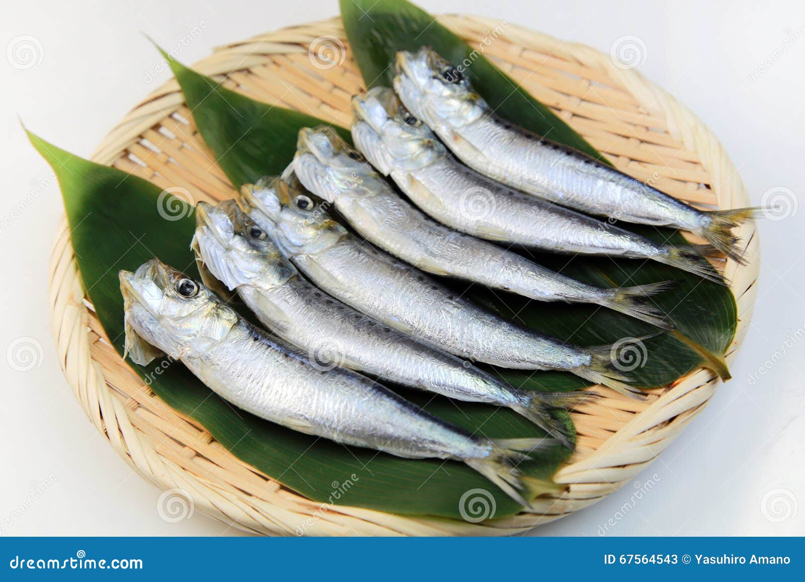 Sardine stock image. Image of silver, market, fresh, healthy 67564543