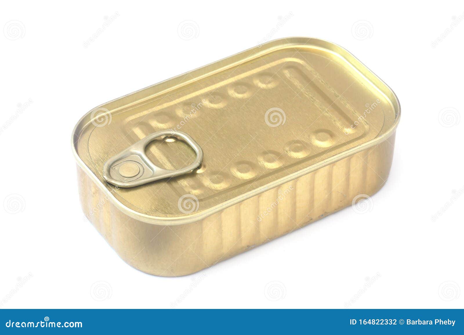 Sardine Tin stock photo. Image of recyclable, preserves 164822332