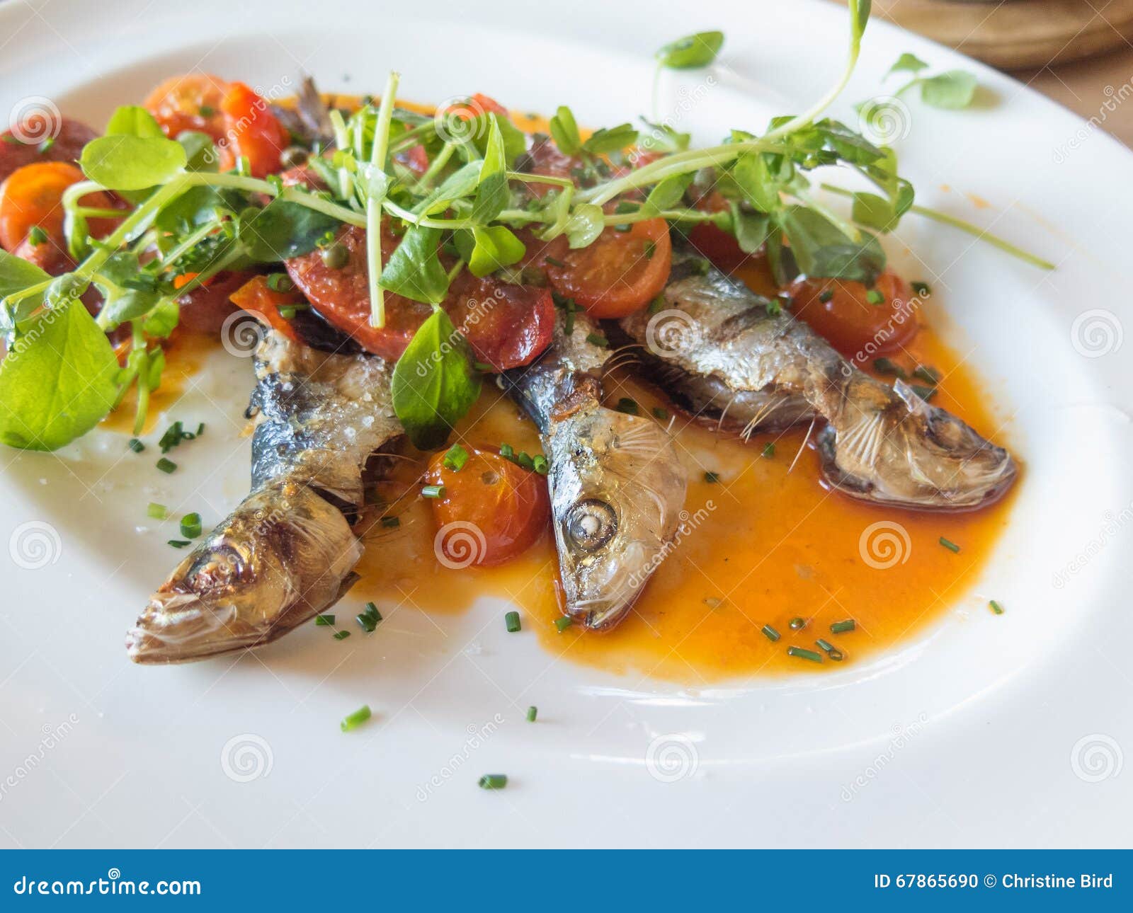 Sardines Cooked with Tomatoes Stock Photo Image of fish, food 67865690