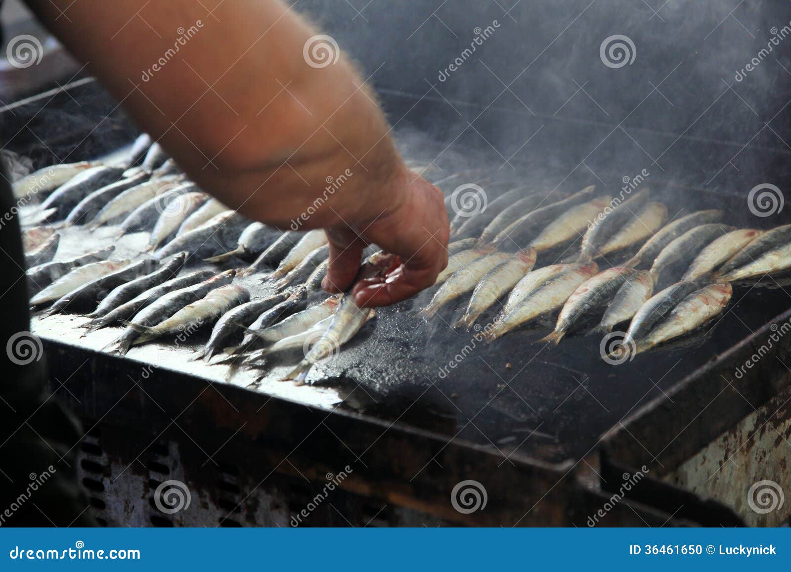 Sardines on grill stock photo. Image of fish, grill, natural 36461650