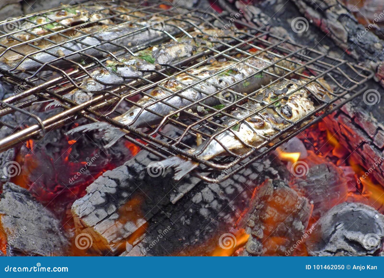 Sardines Grilled on Open Fire Stock Photo Image of cook, sardine