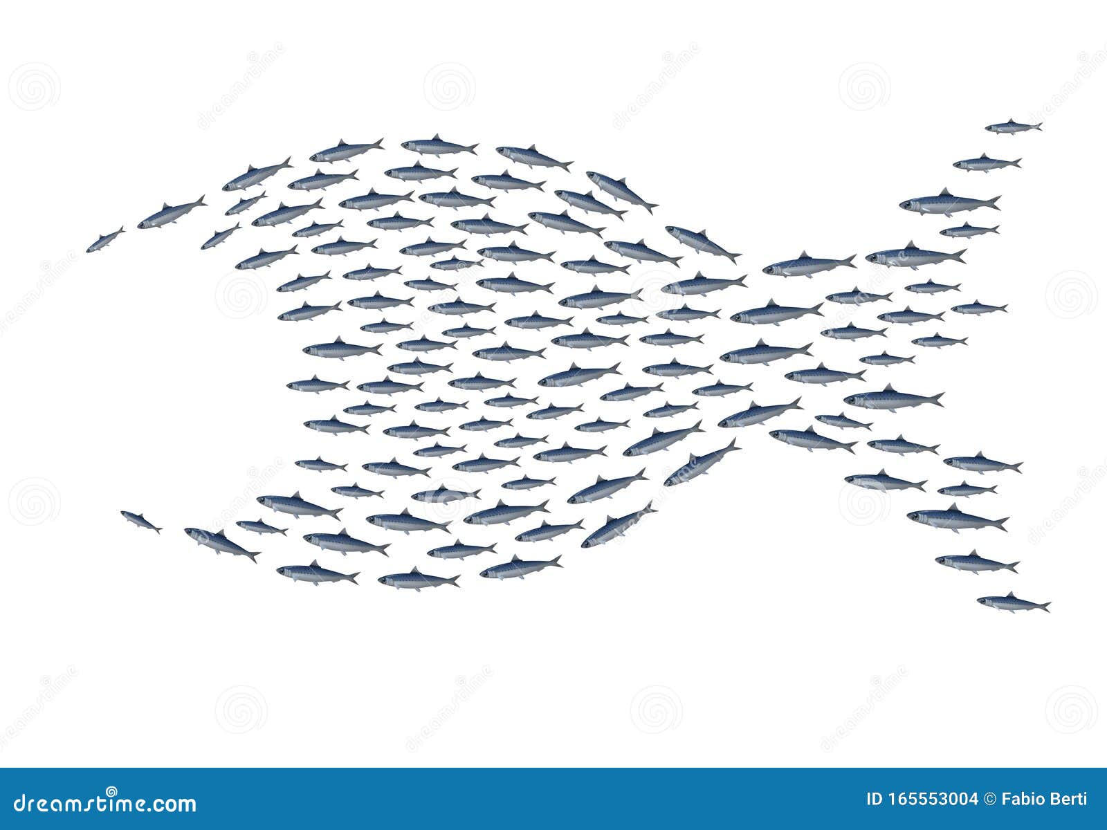 Sardines Group Big Fish Stock Illustration Illustration of