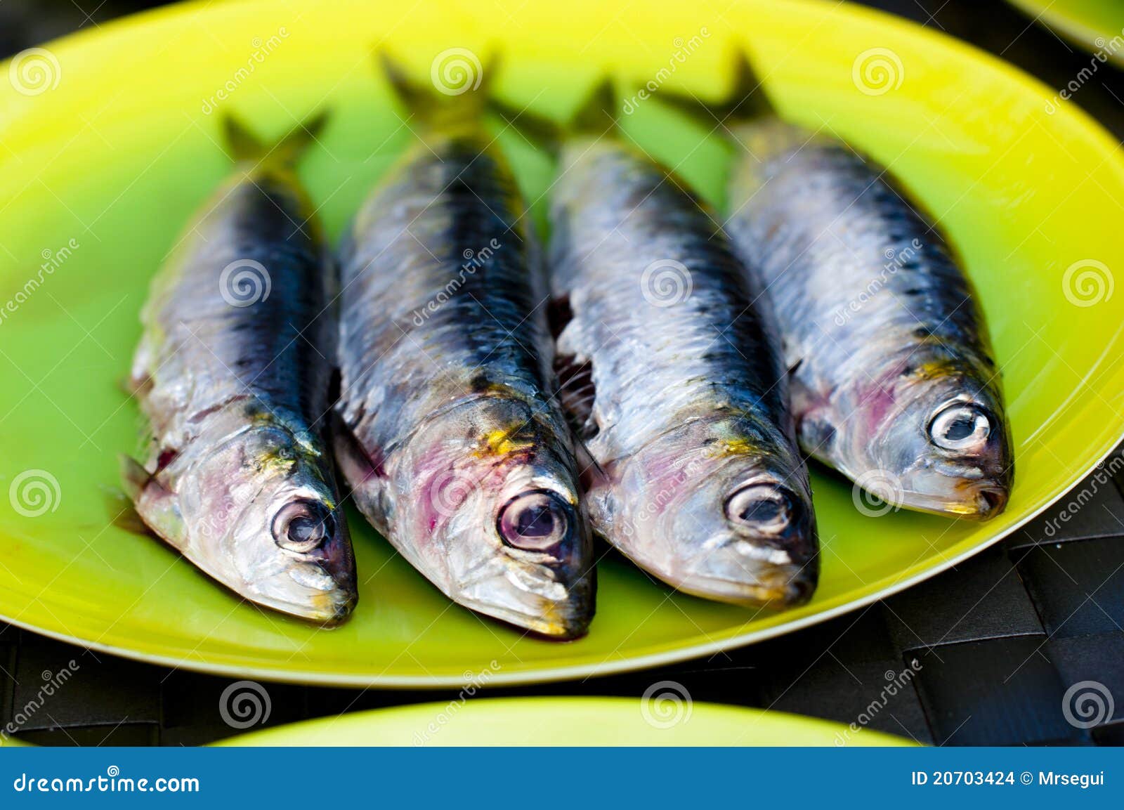 Sardines ready for the BBQ stock photo. Image of meal 20703424