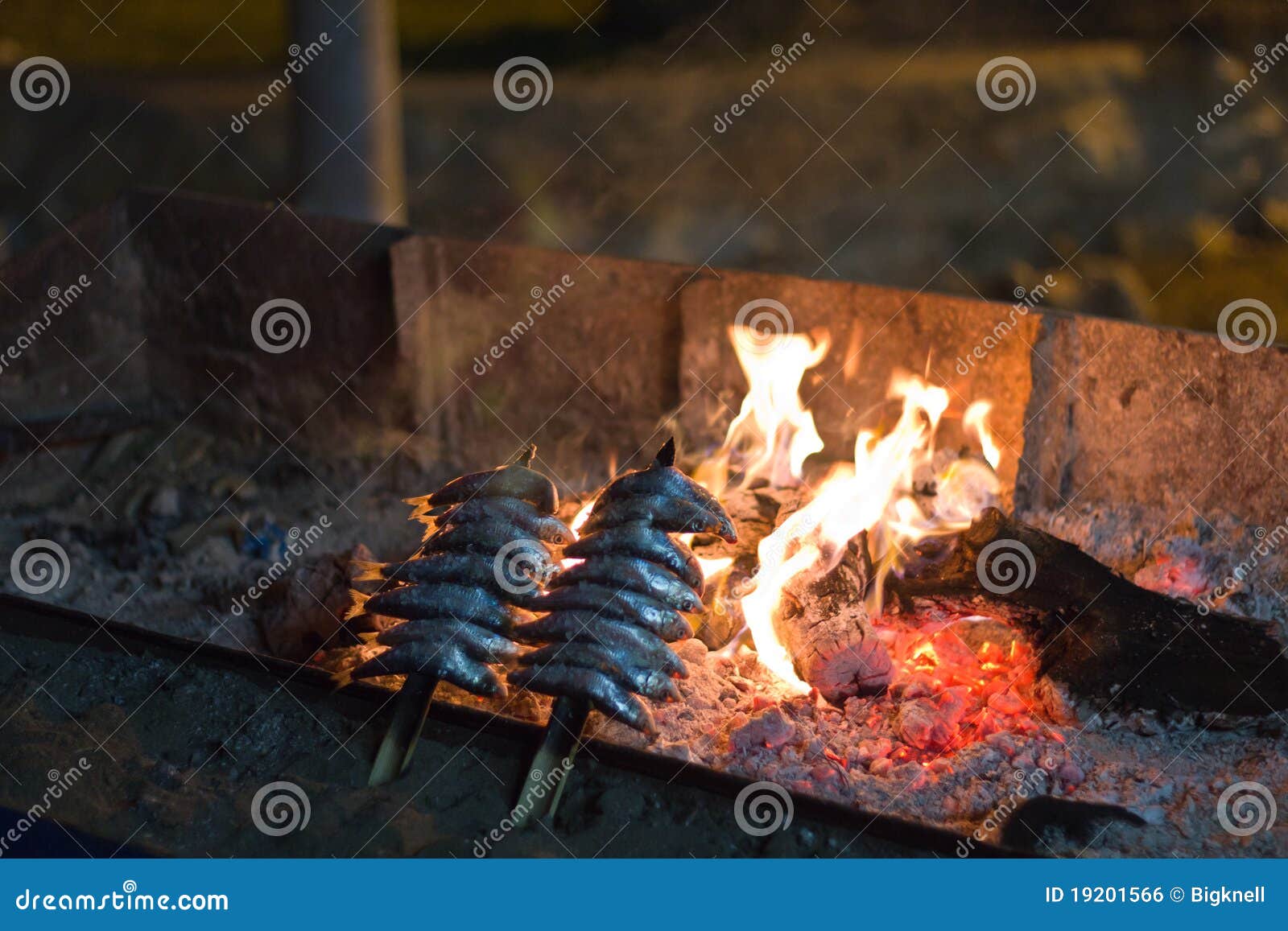 Sardines skewer at night stock photo. Image of burn, coast 19201566