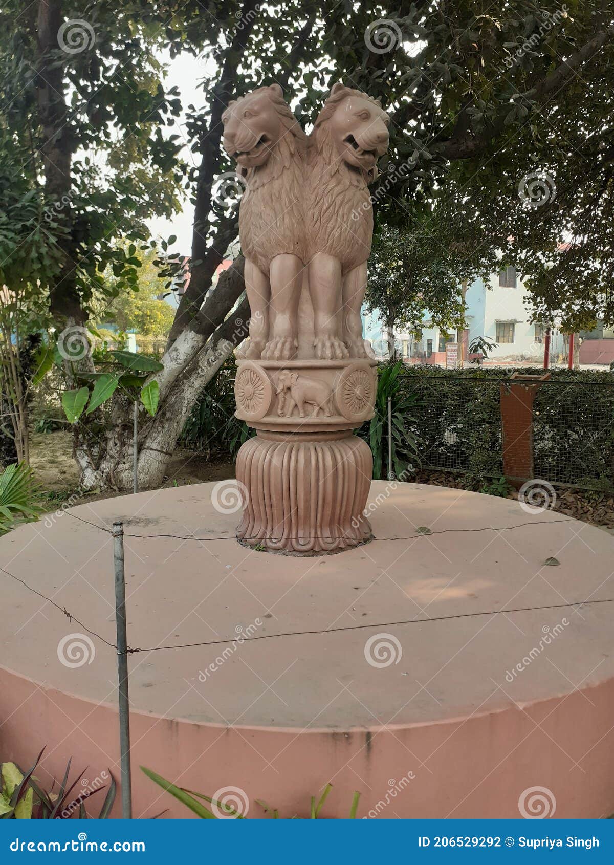 Sarnath Ashoka Stambha Four Lion Statue Stock Photo Image of lion