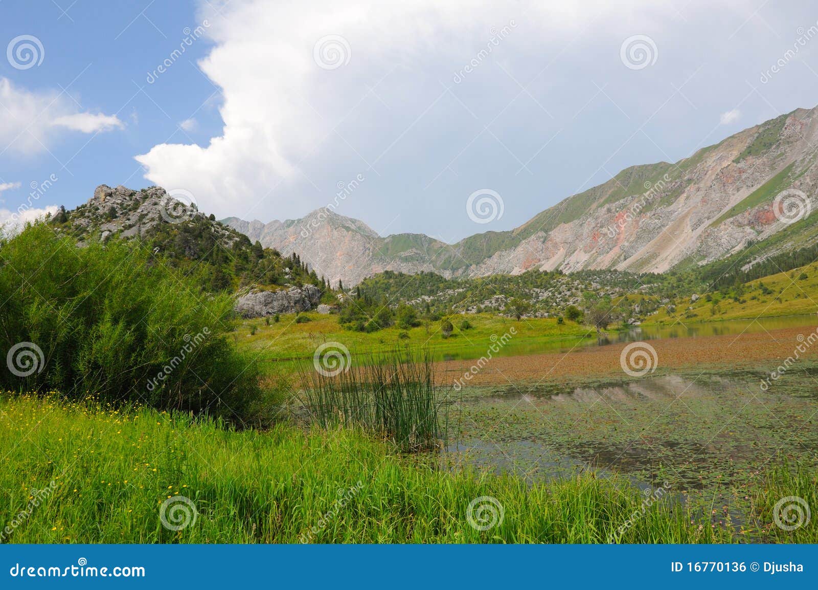 SaryChelek Lake and cane stock photo. Image of hill 16770136