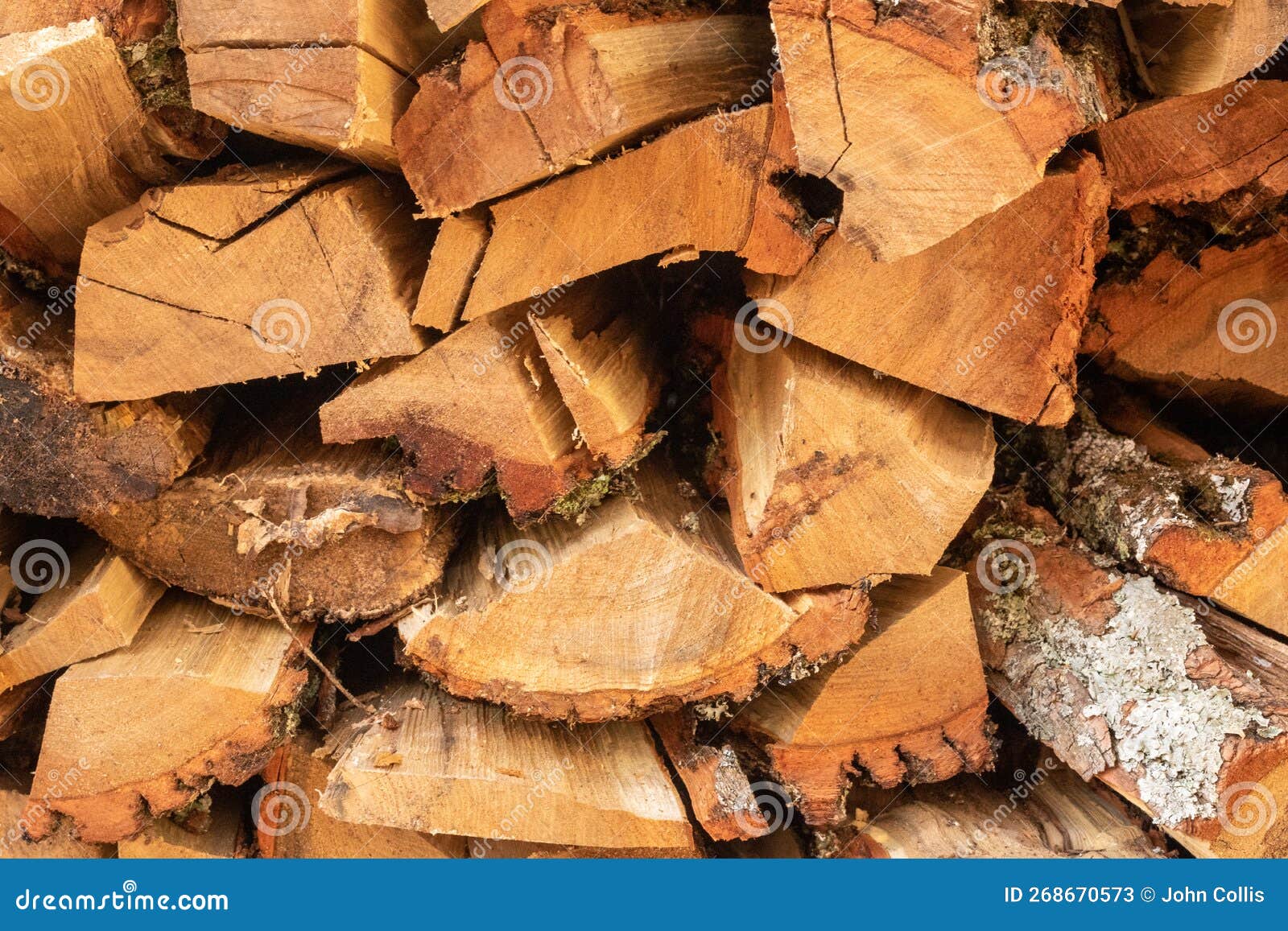 Sassafras Firewood for Winter. Stack of Firewood Stock Image Image of