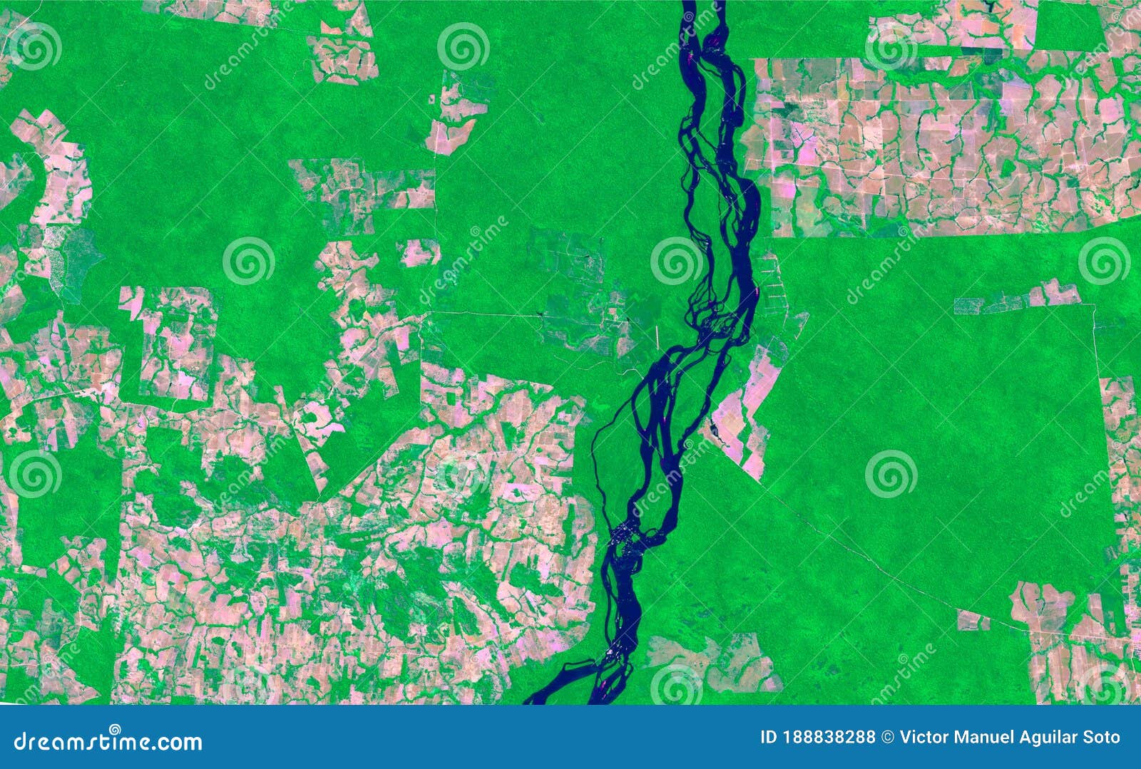 satellite image of the amazon. generated and modified images of the sentinel sensor.