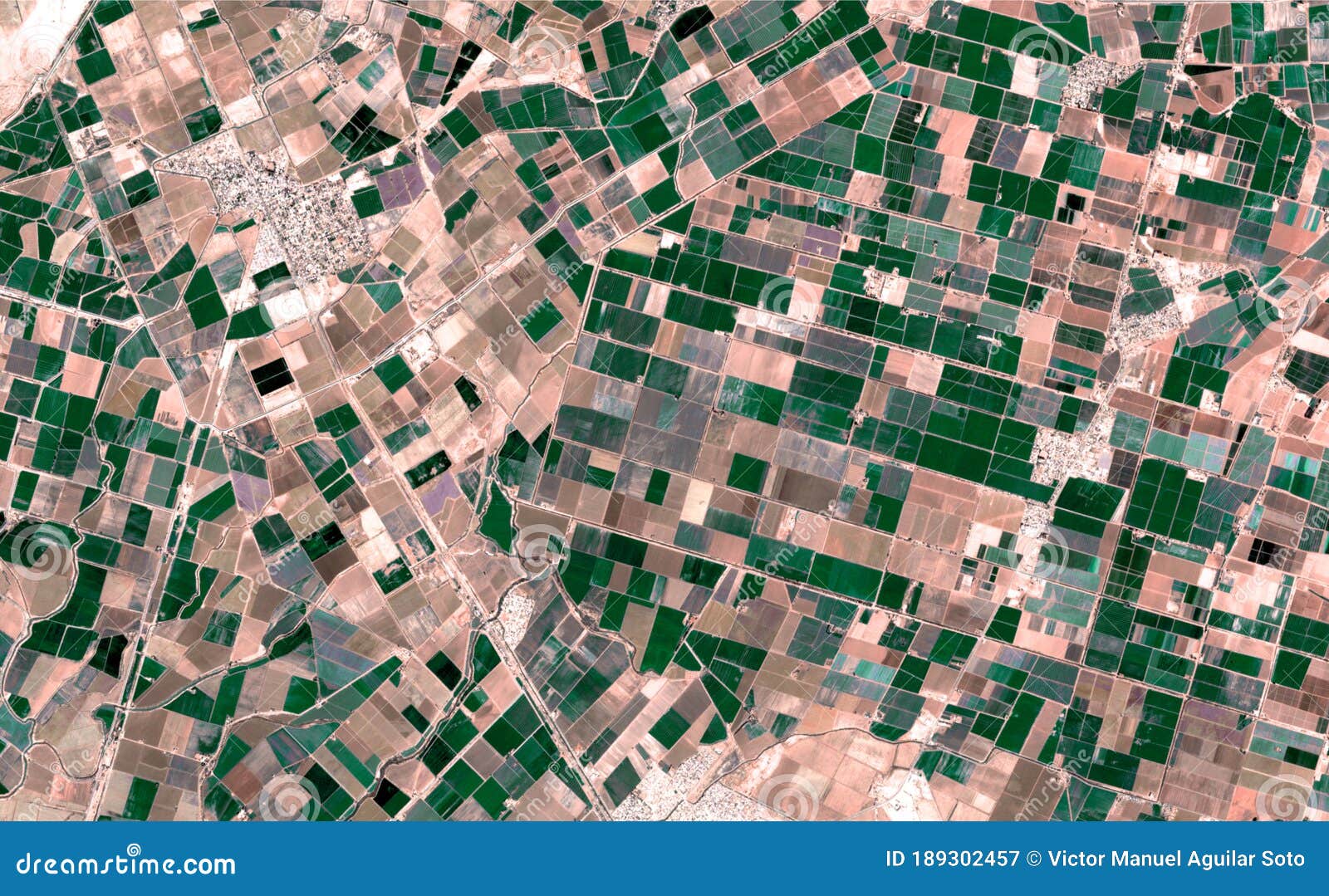 satellite image where crops are seen over the sonora desert, mexico.