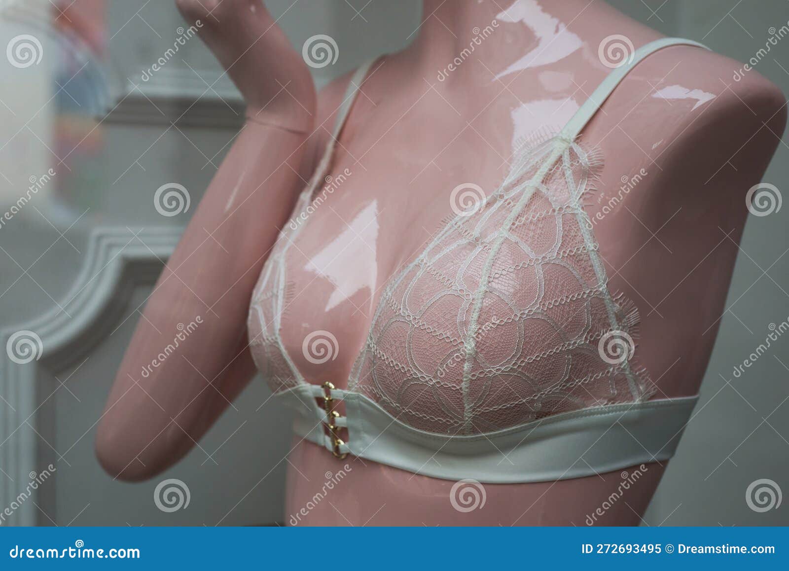 Satin Underwear on Mannequin in Fashion Store Showroom for Women Stock  Image - Image of lingerie, health: 272693495