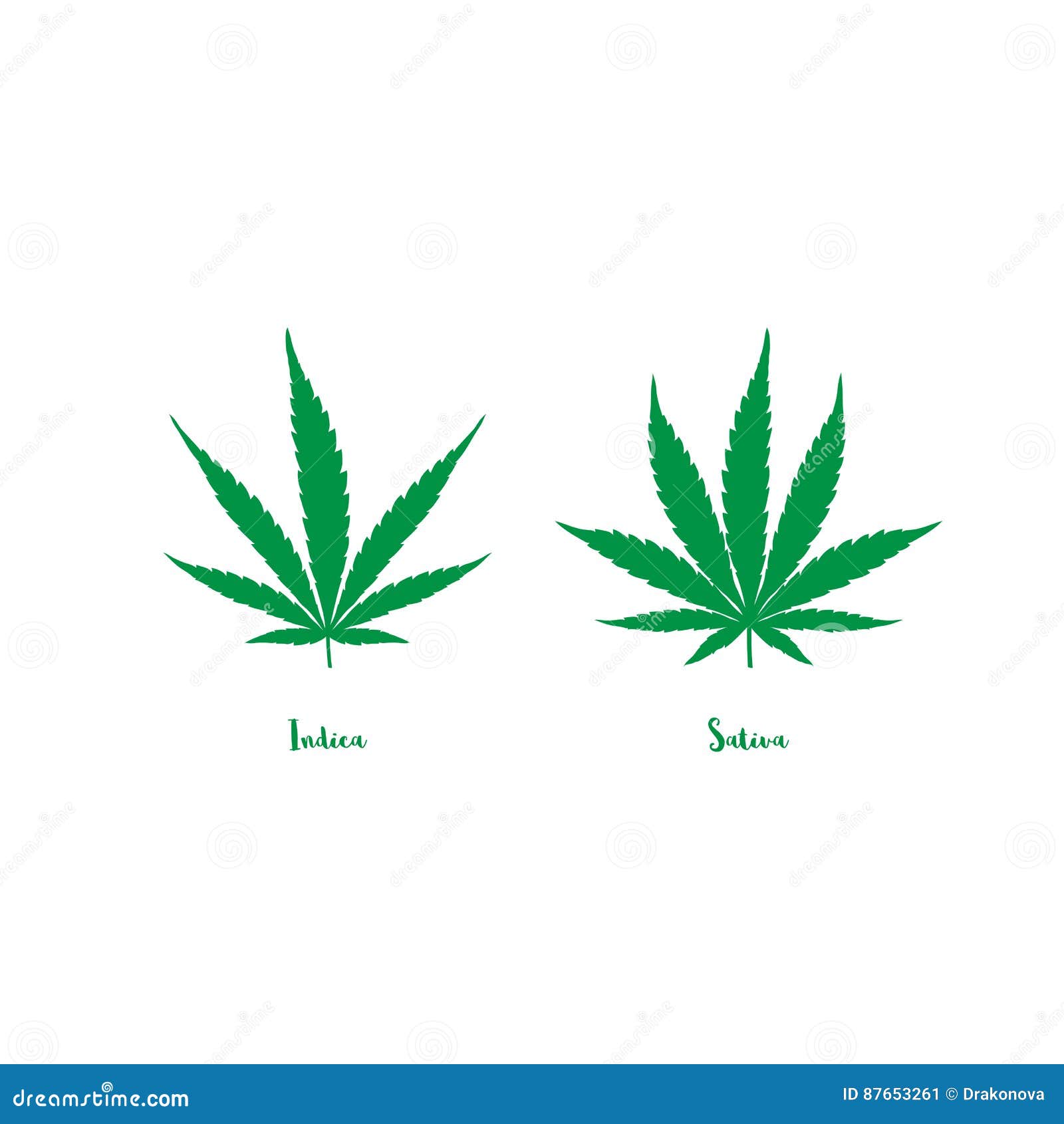 Sativa Vs Indica Chart