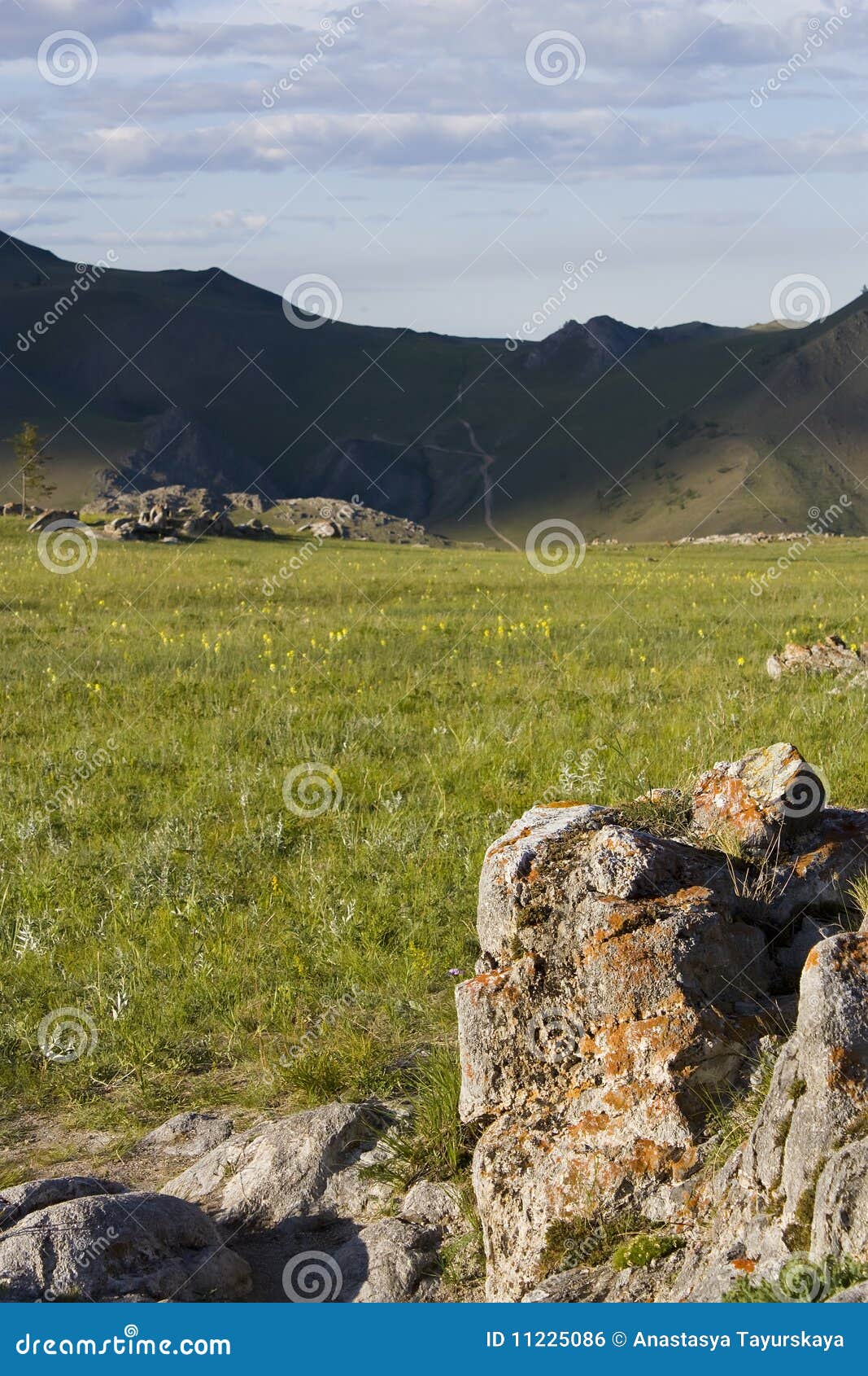 Saturation de nature photo stock. Image du plaine, baikal 11225086