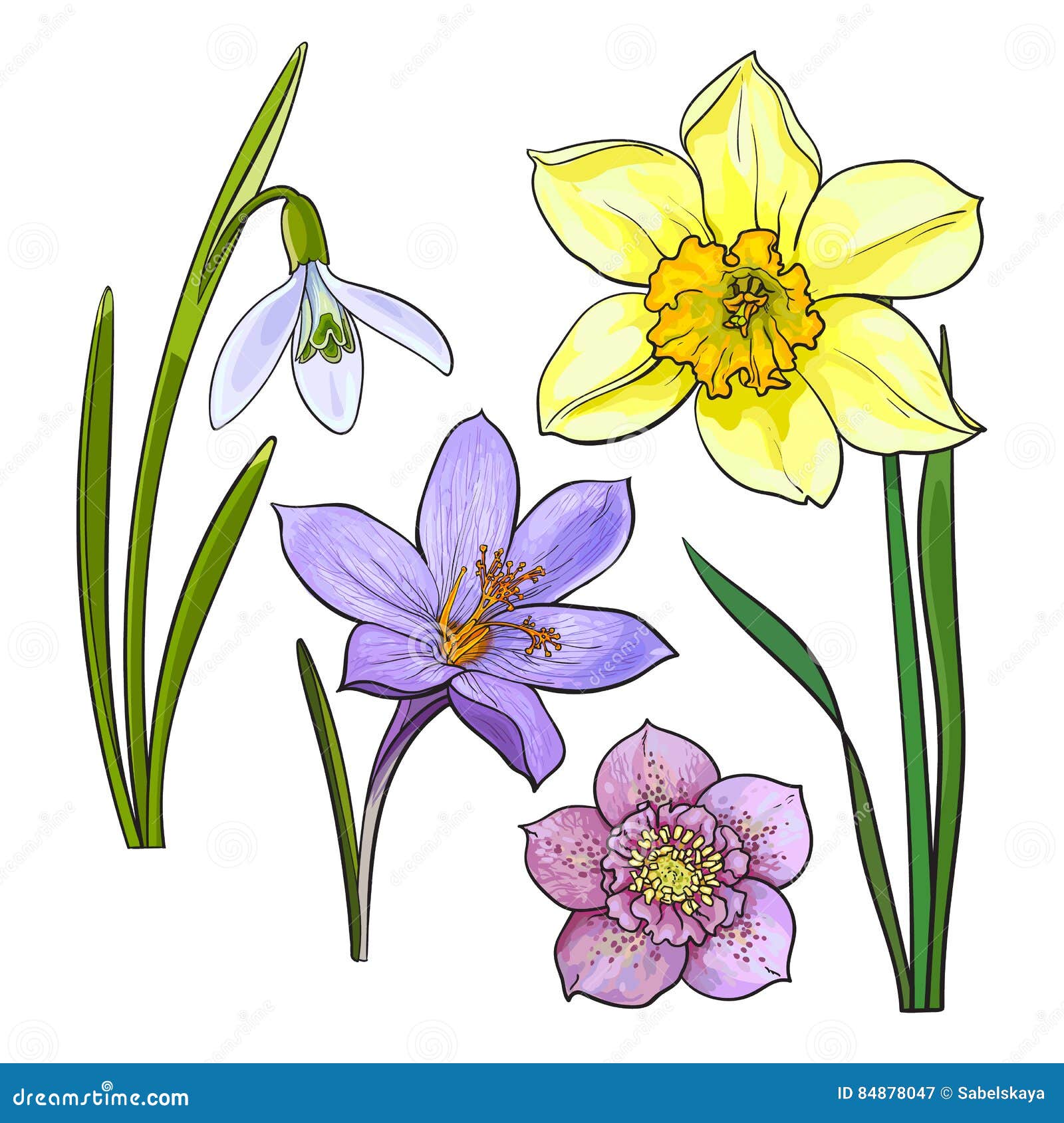 Цветы луговые Нарцисс