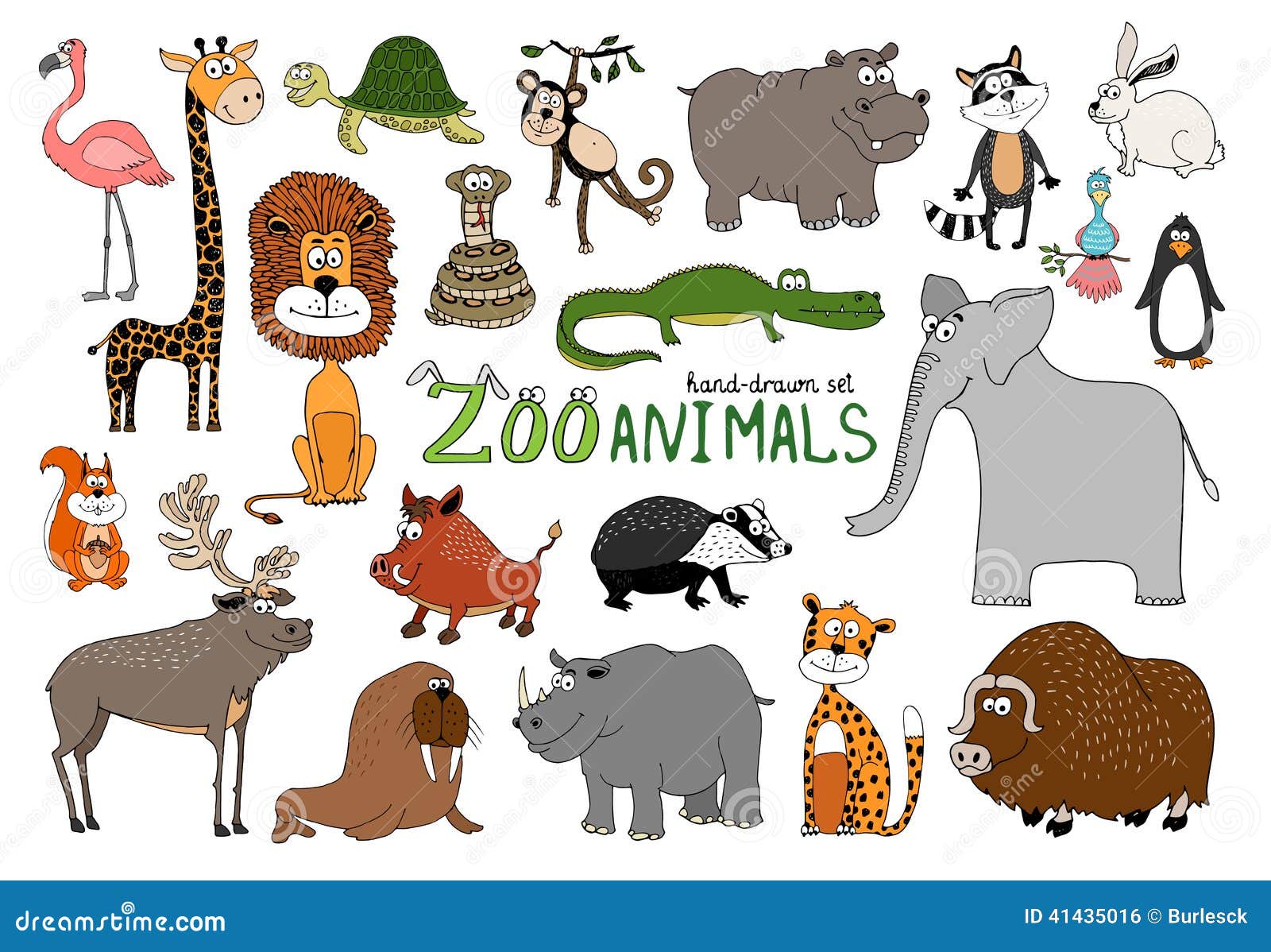 Satz Von Hand Gezeichnete Zootiere Vektor Abbildung - Bild: 41435016