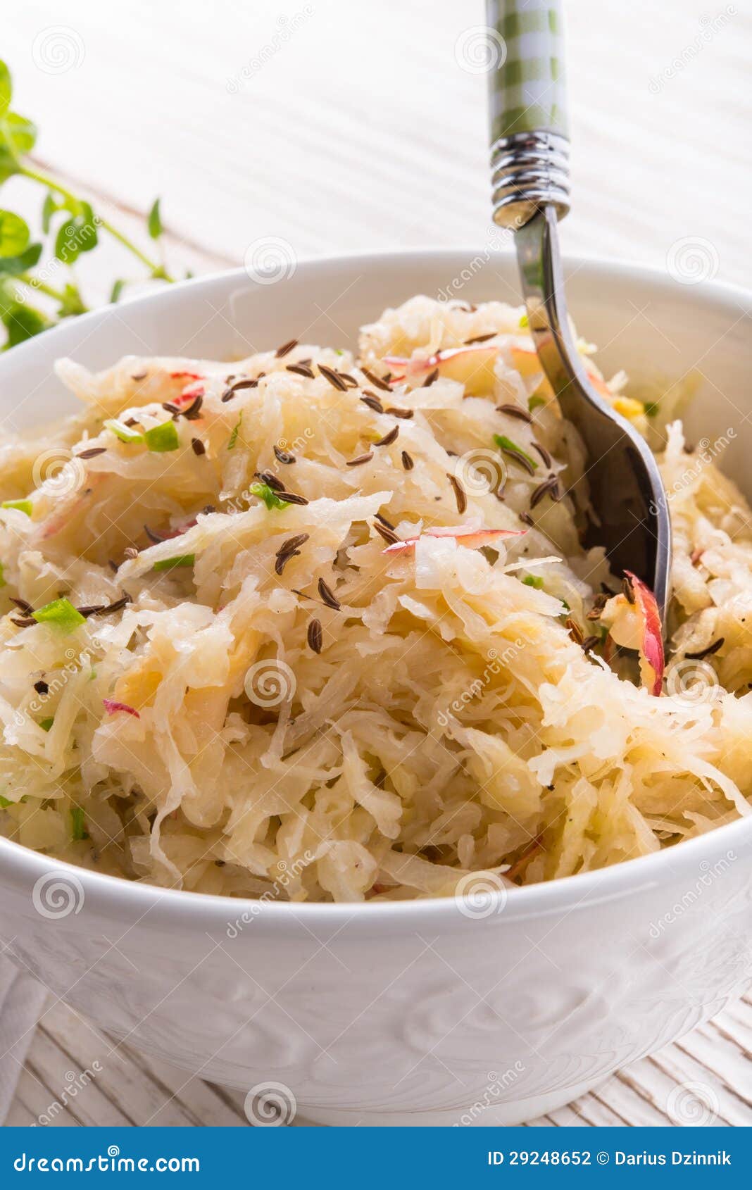 Sauerkraut with Ingredients Stock Photo Image of apple, eating 29248652