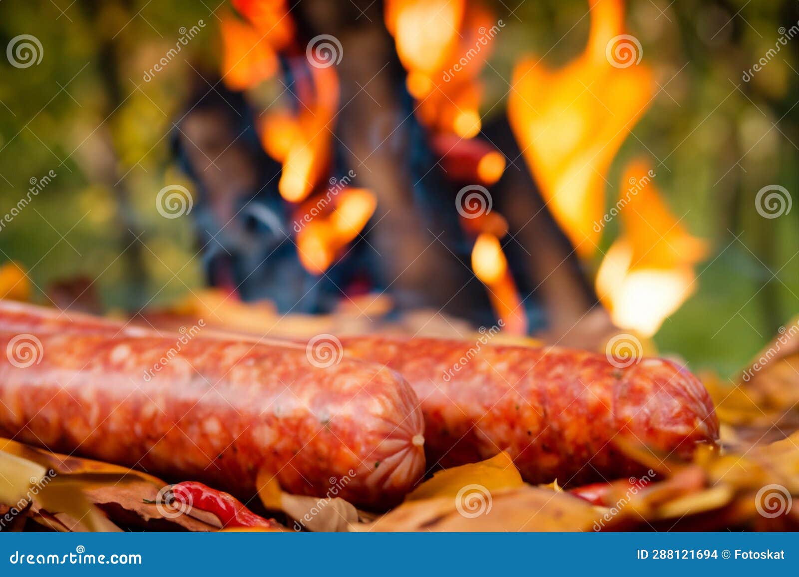 Sausages Grill stock photo. Image of dark, fried, grill 288121694