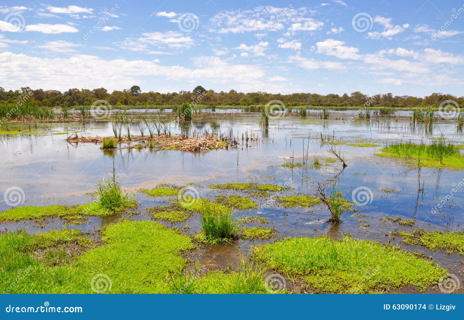 australie mer et marecage