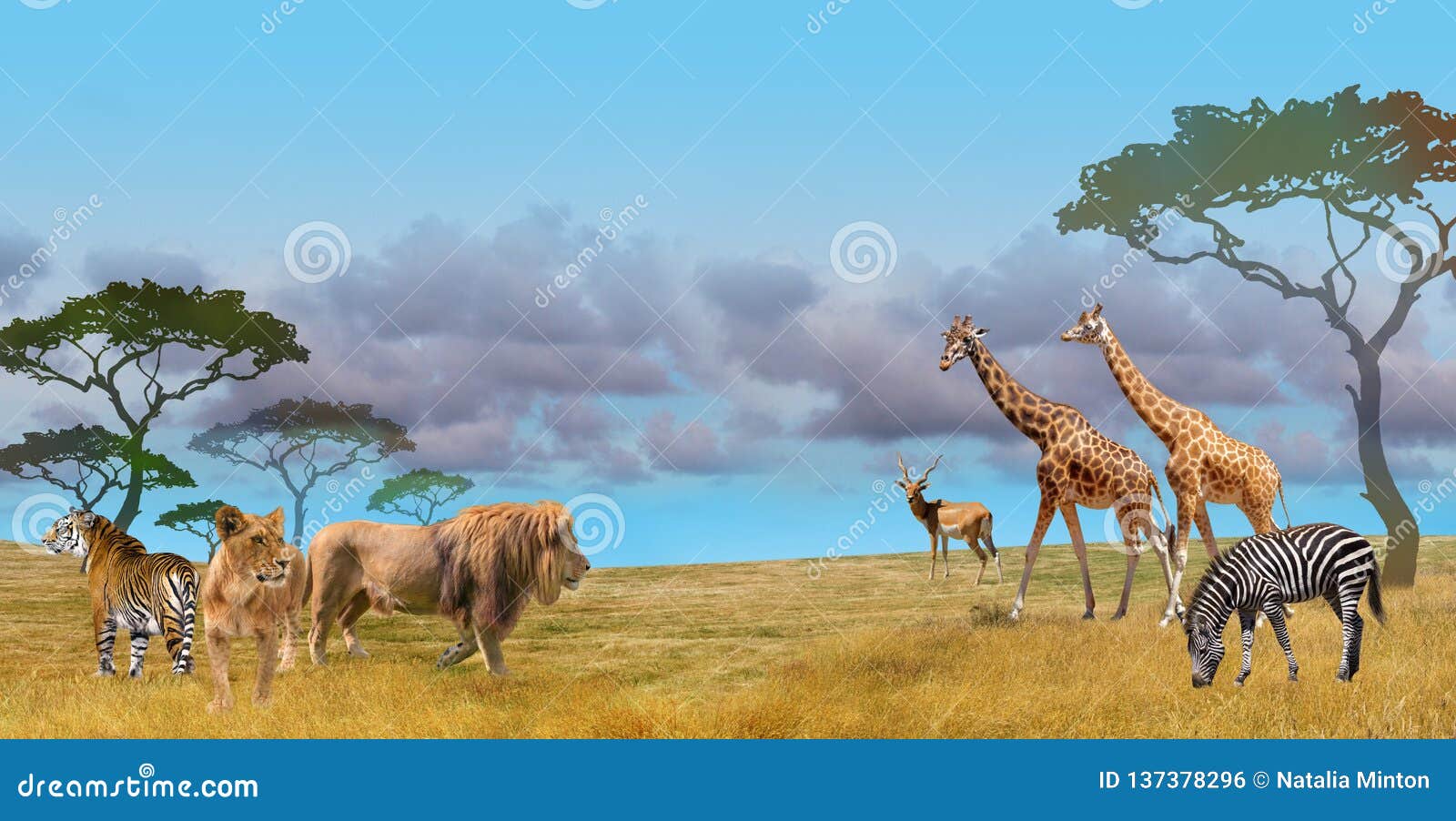 776,382 Wild Animals Stock Photos - Free & Royalty-Free Stock ...