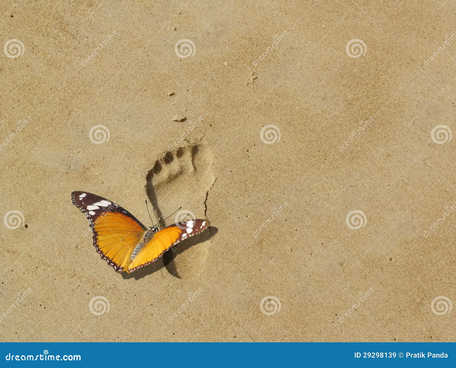 save earth and nature, butterfly on footprint