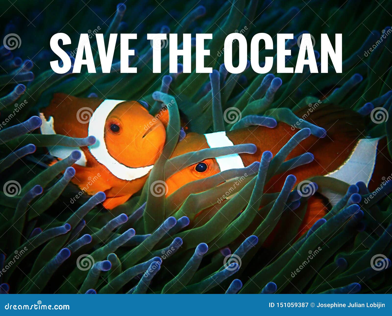 Save the ocean stock image. Image of borneo, holiday - 151059387