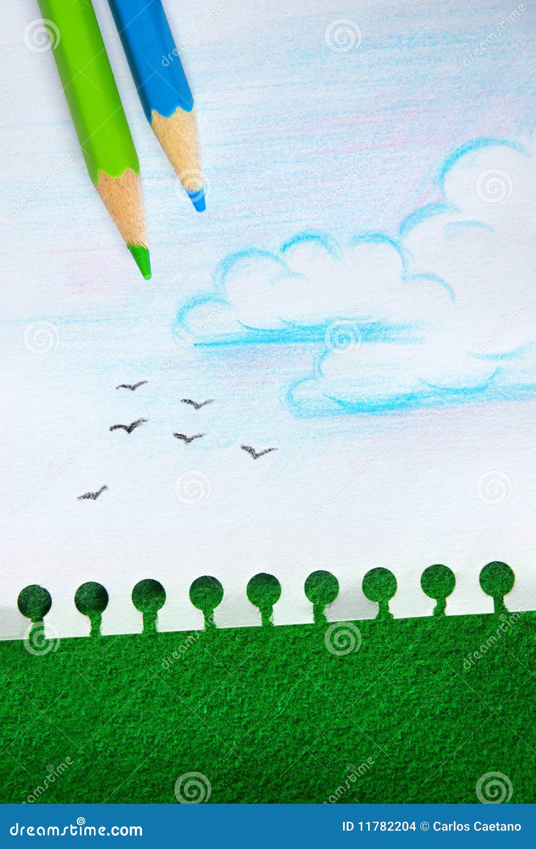 151 Stop Tree Cut Forest Stock Illustrations, Vectors & Clipart - Dreamstime