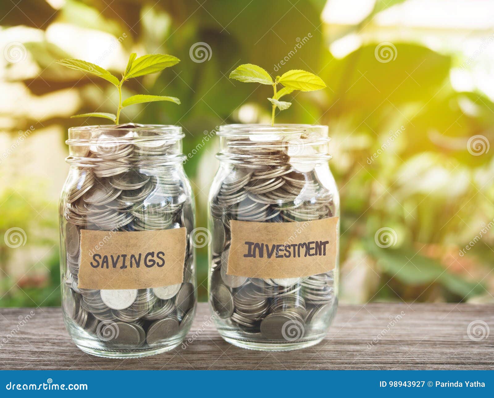 Savings and Investment, Money Growing Concept. Stock Image - Image of investment, growth: 98943927