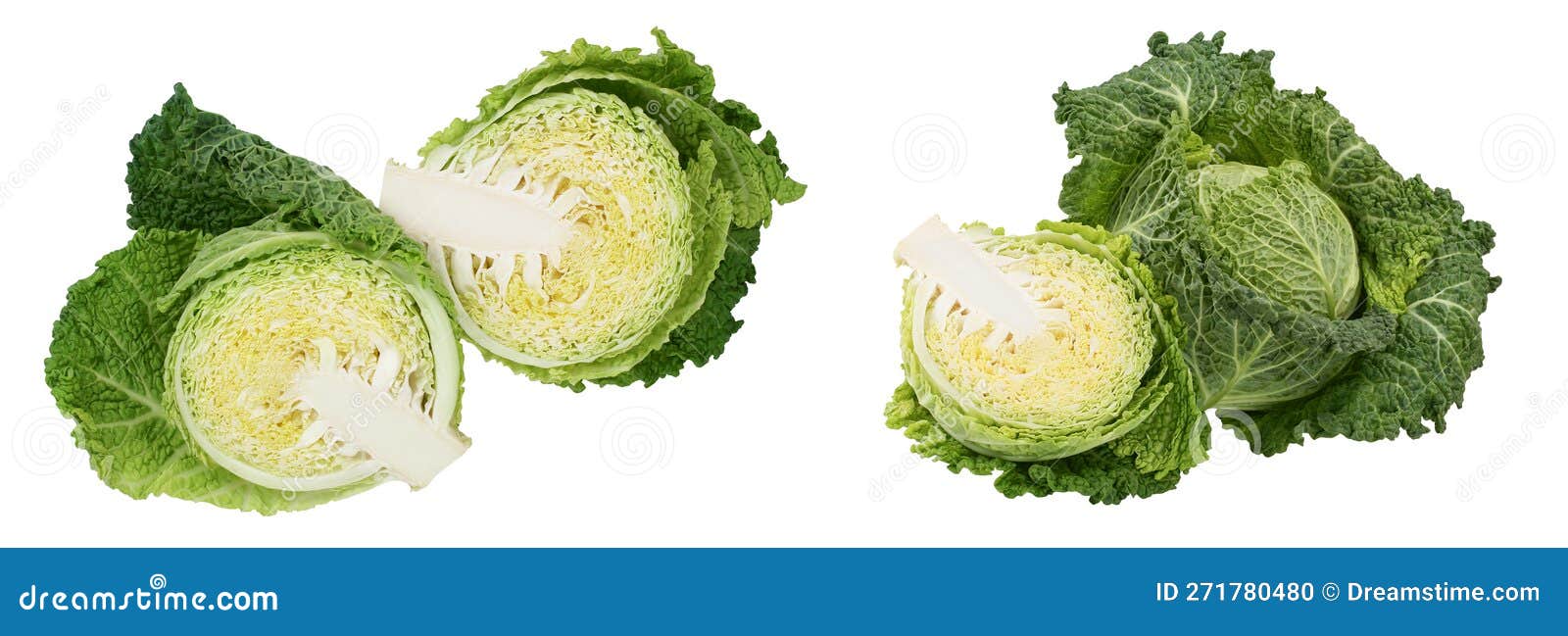 Savoy Cabbage Half Isolated on White Background with Full Depth of