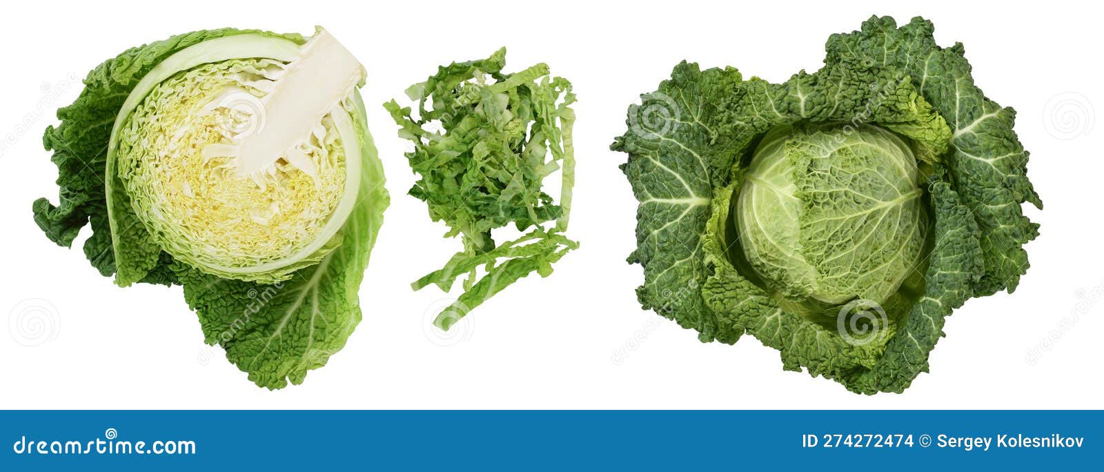 Savoy Cabbage Half Isolated on White Background with Full Depth of