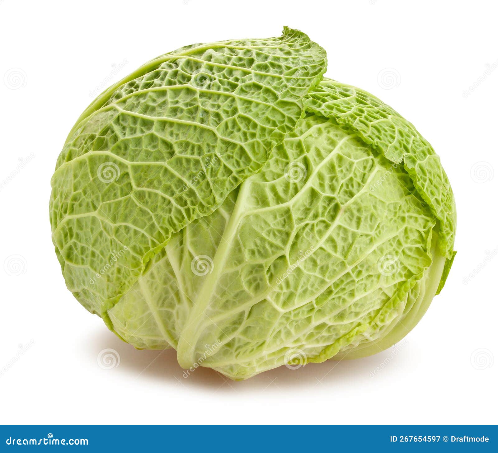 Savoy Cabbage Path Isolated Stock Image Image of nutrition, green