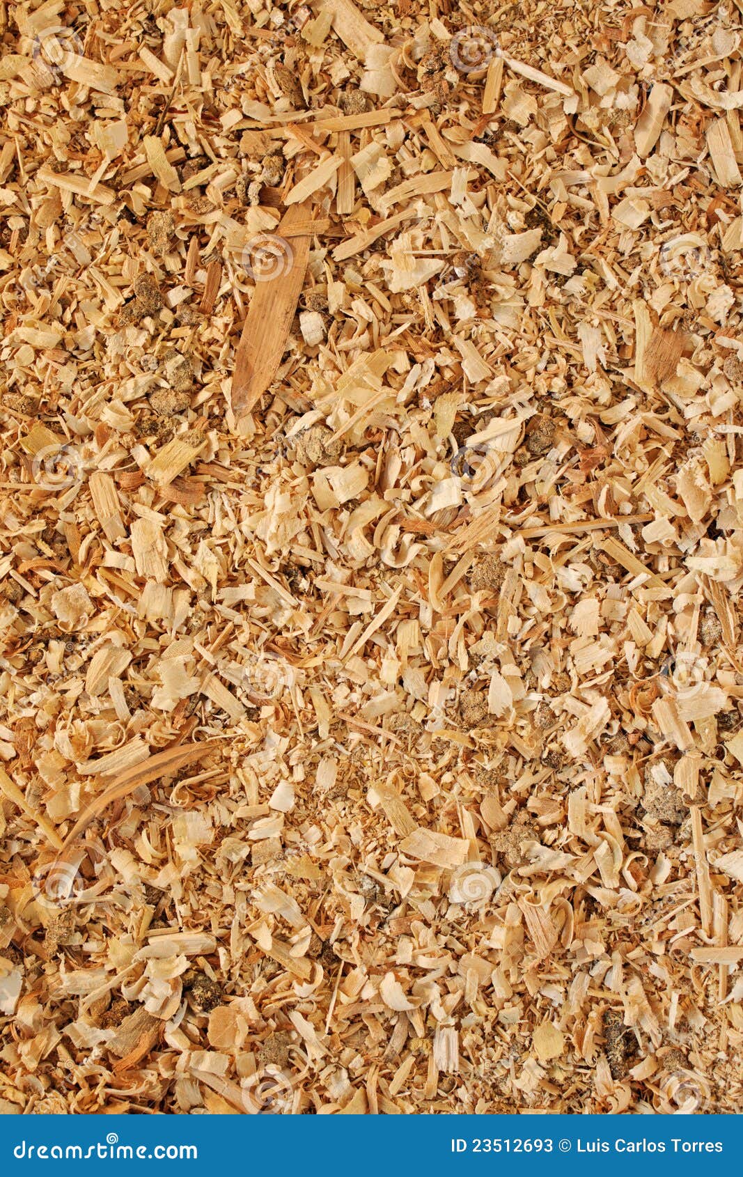 Sawdust Animal Bedding (Texture) Stock Image Image of sawdust, wood