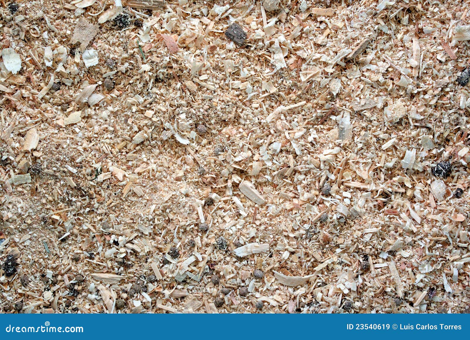Sawdust Animal Bedding (Texture) Stock Image Image of fullframe