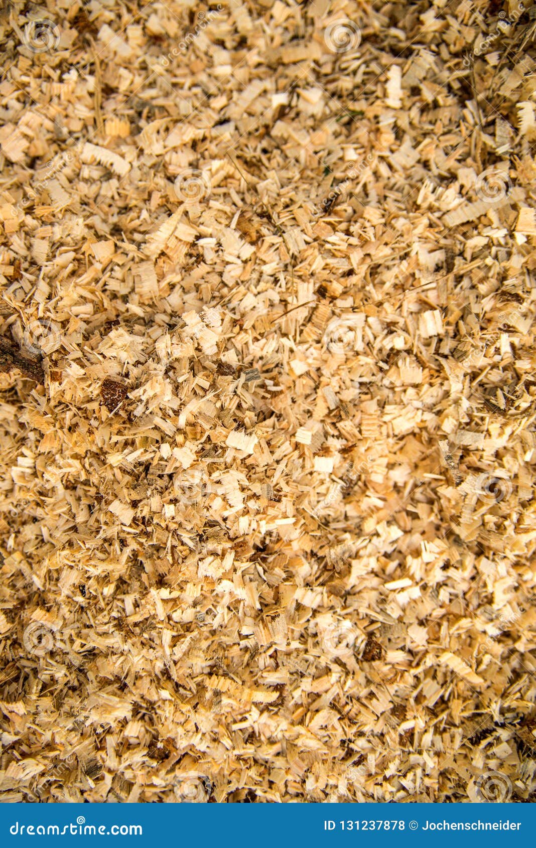 Sawdust On A Forest Floor Stock Photo Image Of Shavings 131237878